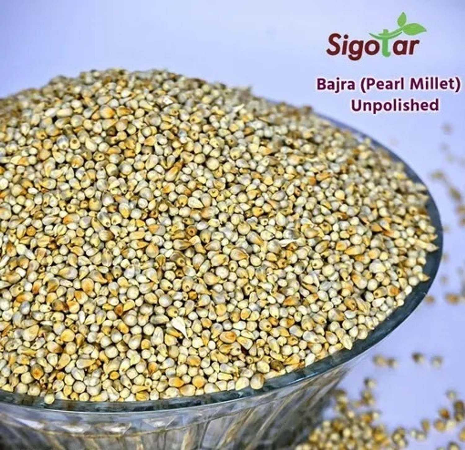 Image of Sigotar Desi Bajra - 1.5kg | Unpolished Pearl Millet |High in Plant Protein Pearl Millet
