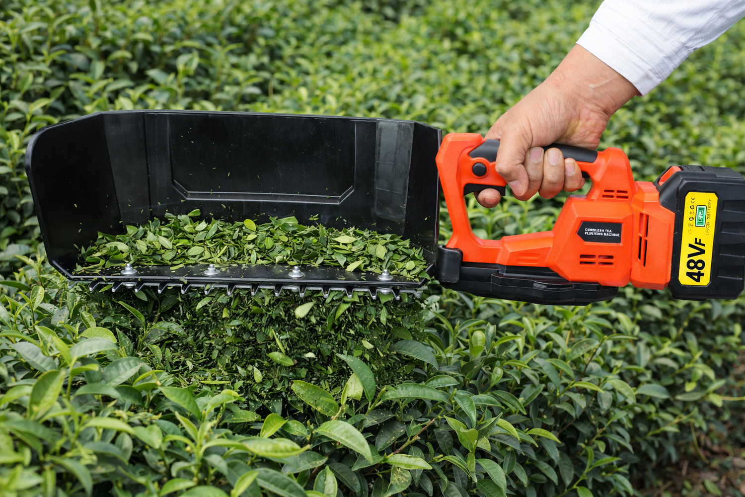 Image of Flipkart SmartBuy Grass Trimmer Leaf Collection Scoop | Tea Harvesting Tea Cutter with Leaf Tray | Cordless Tea Plucking Machine ,Rechargeable Tea and grass Faster Harvesting Battery Self Propelled Lawn Mower