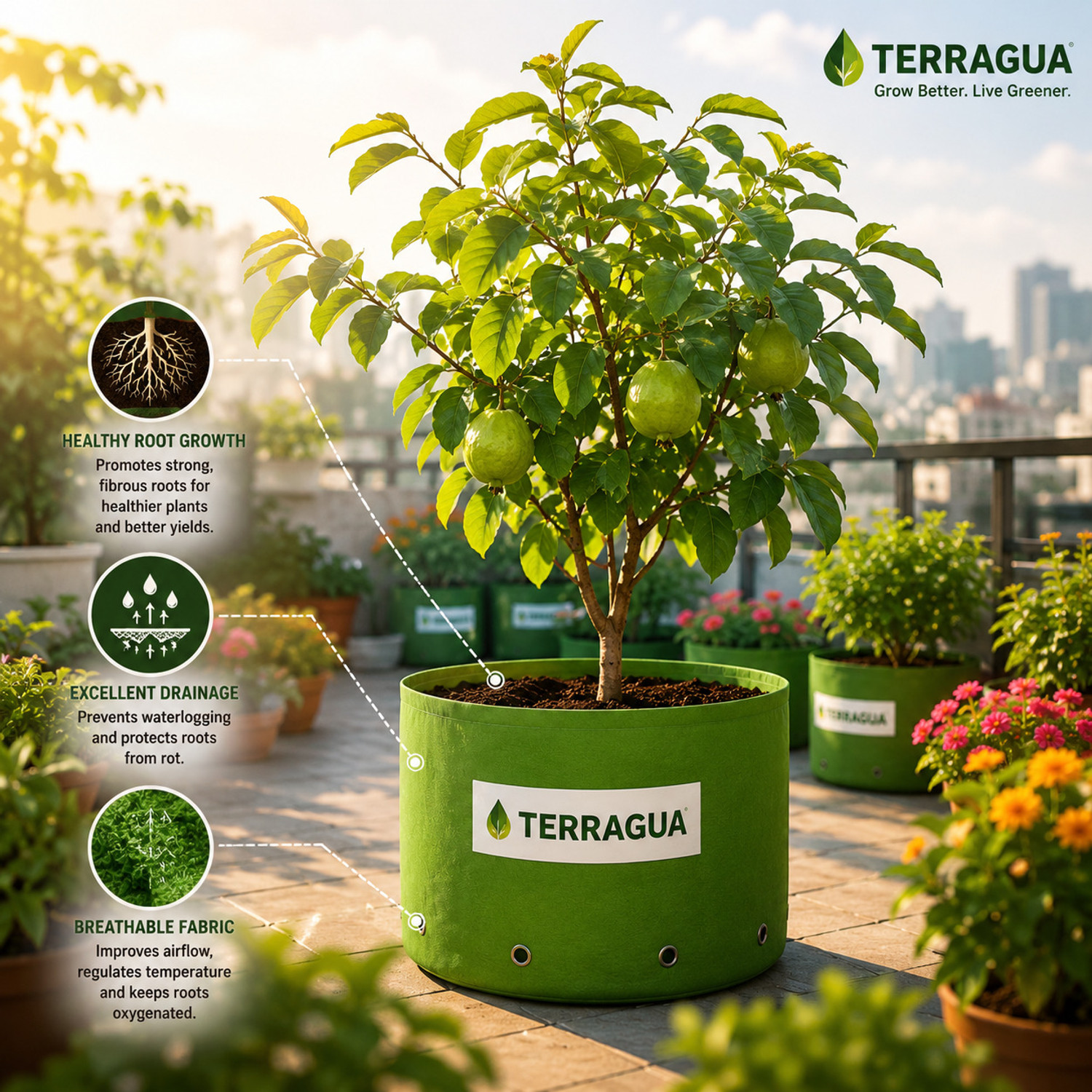 Image of TERRAGUA 18x18 Large Capacity Planting Containers for Terrace Farming 230 GSM Grow Bag