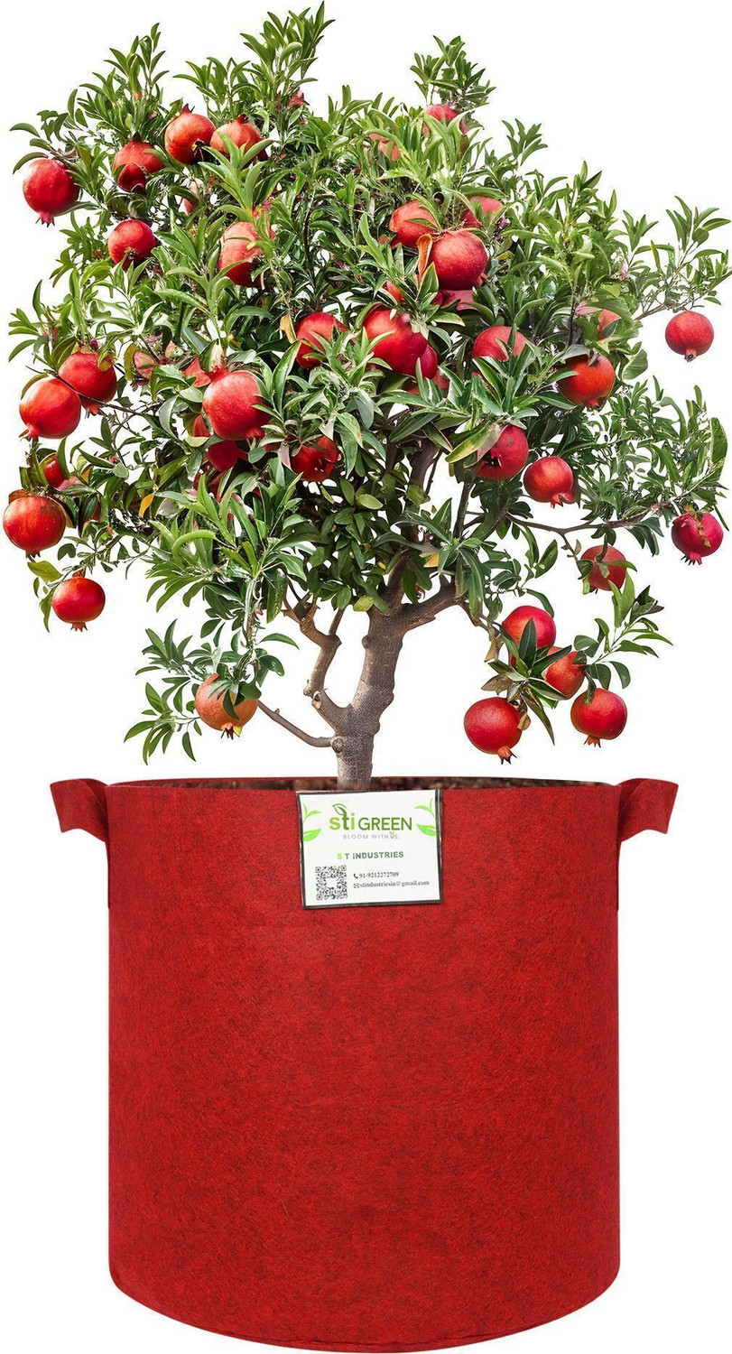 Image of STIGREEN Premium GEO Fabric 15*15 Grow Bag For Home Gardening 400 GSM Grow Bag