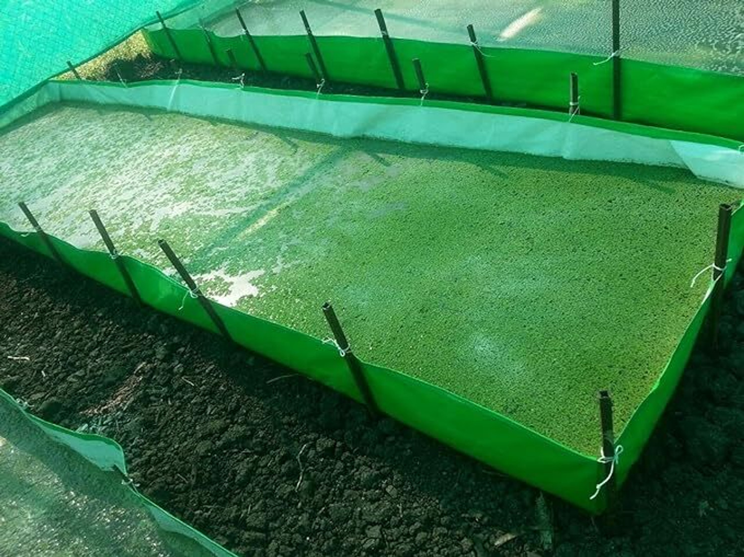 Image of GARDECO 450 GSM HDPE Fabric Azolla Growing Bed(Azolla Bed) 10ft x 4ft x 1ft Grow Bag