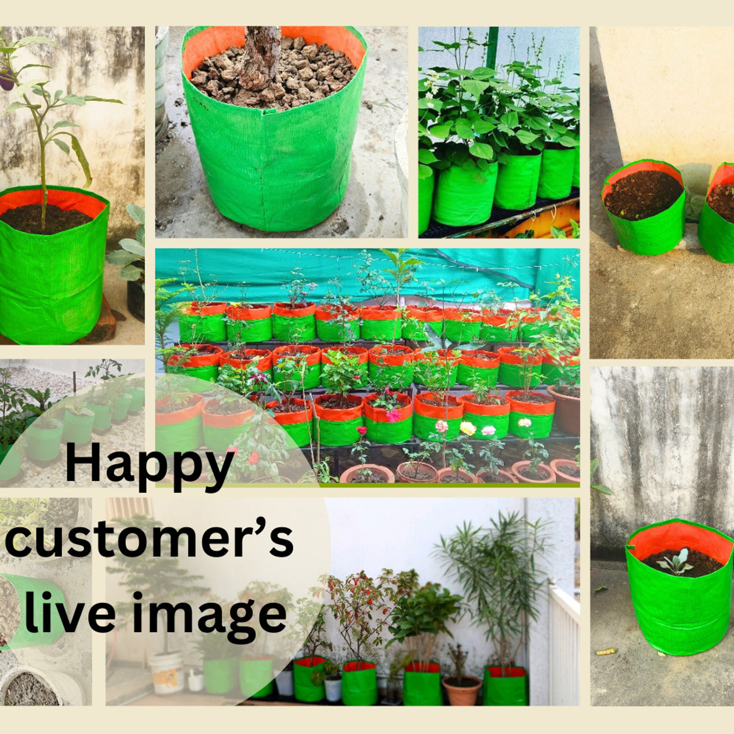 Image of heliland plant bag 48x12x12 in pack 1, plant growing plastic bag, rectangular grow bags Grow Bag
