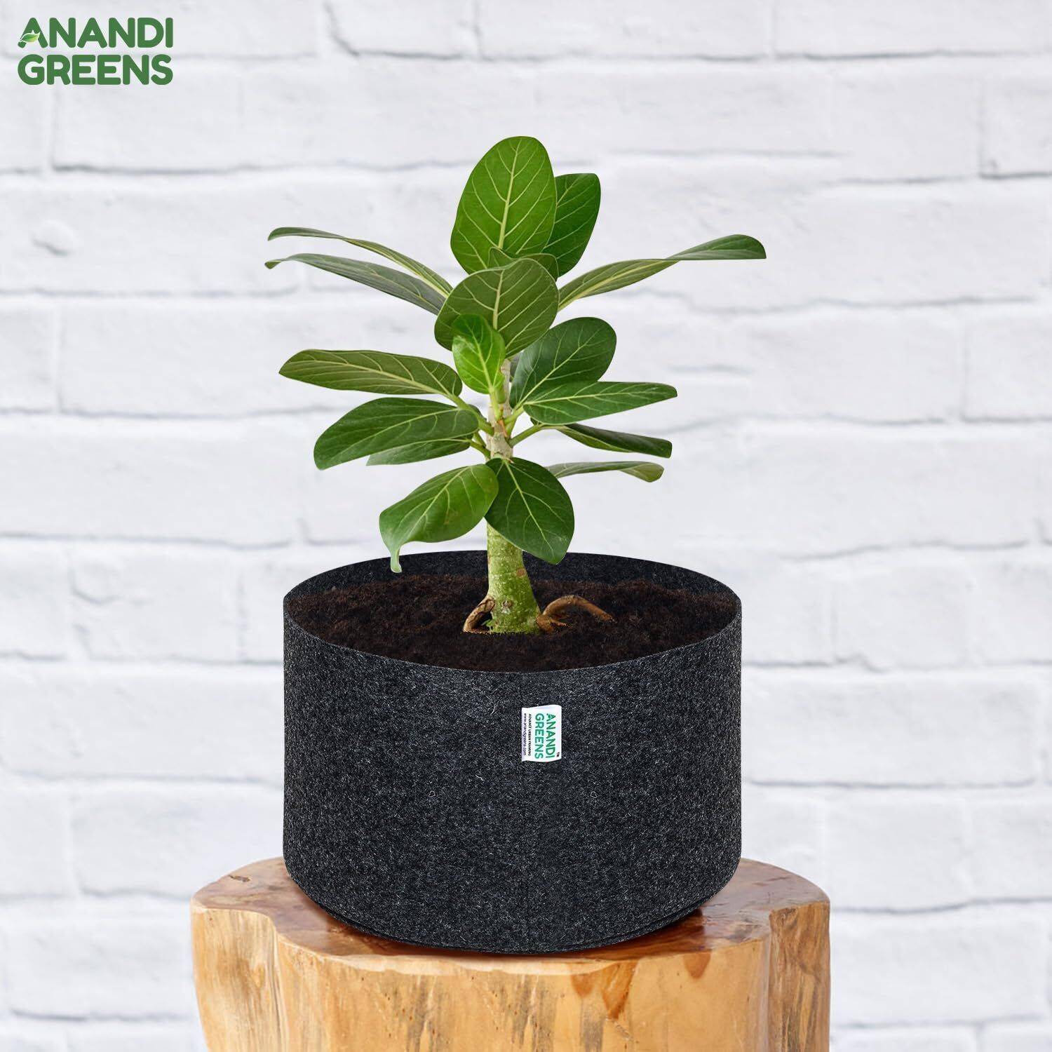 Anandi Greens 15x6 INCH Round 350 GSM Geo Fabric Grey Color Plant Grow Bag