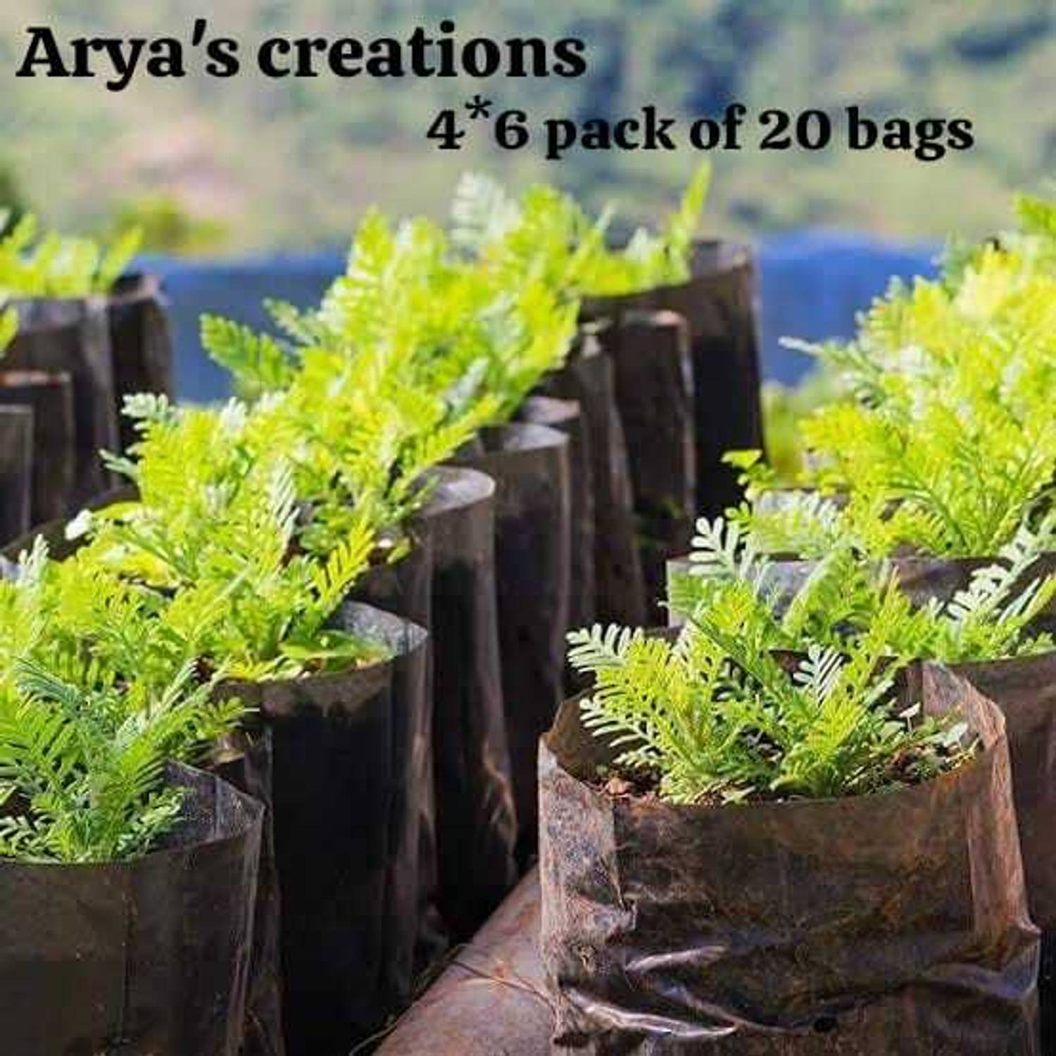 ARYAS FASHIONS 04x06 Nursery Bags Pack of 20 Plastic Poly Grow Bag