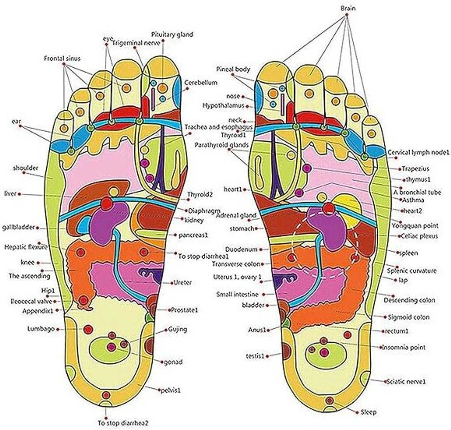 Image of Cyne Men Acupressure Therapy Foot massager Full body blood Circulation slippers (unisex) Flip Flops