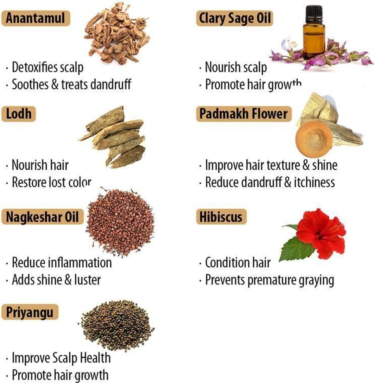 Image of KEYA SETH AROMATHERAPY Black Shine Hair Pack Natural Hair Colour, Dye with Ayurvedic Herbs, Men & Women , Black