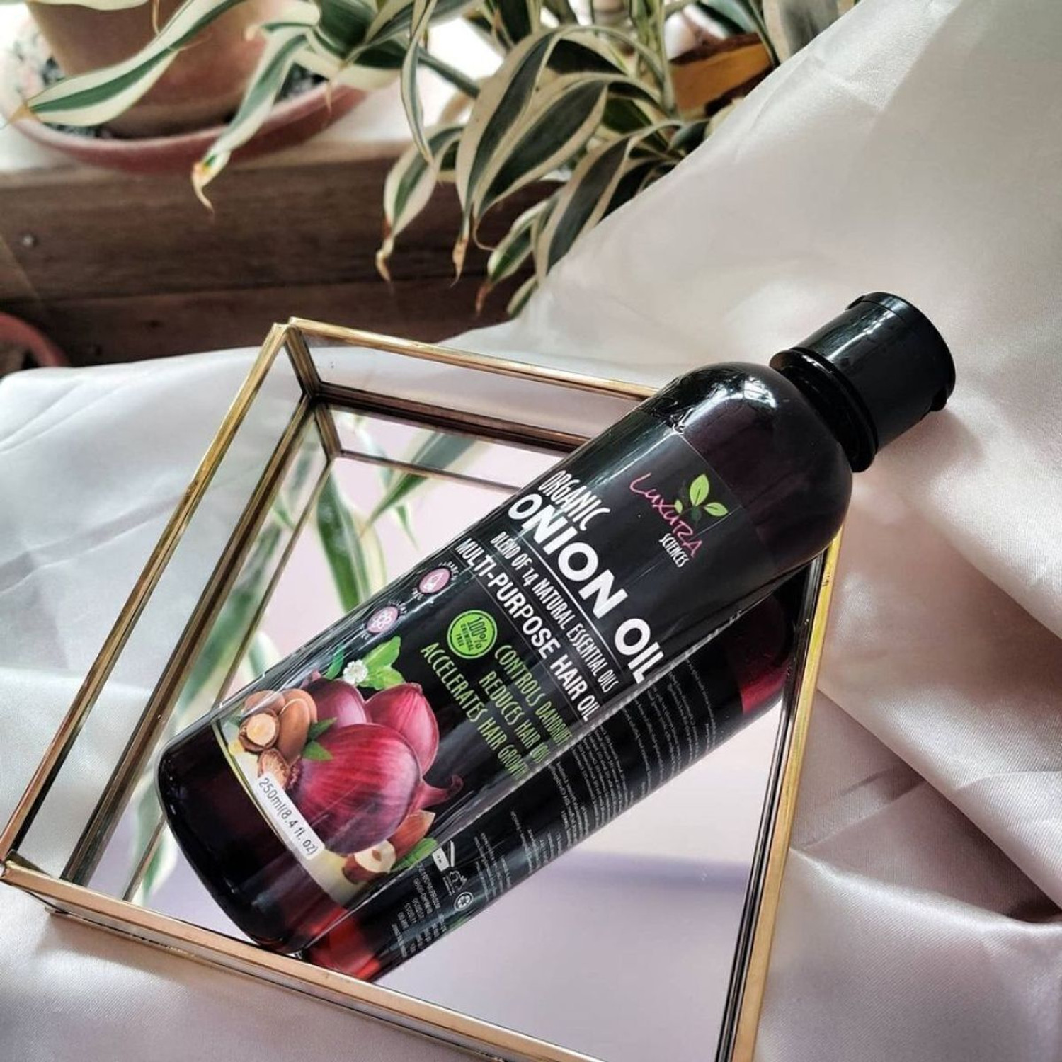Image of LUXURA SCIENCES Onion Hair Oil 250 ML with 14 Essential Oils, Onion Hair Oil For Hair Growth Hair Oil