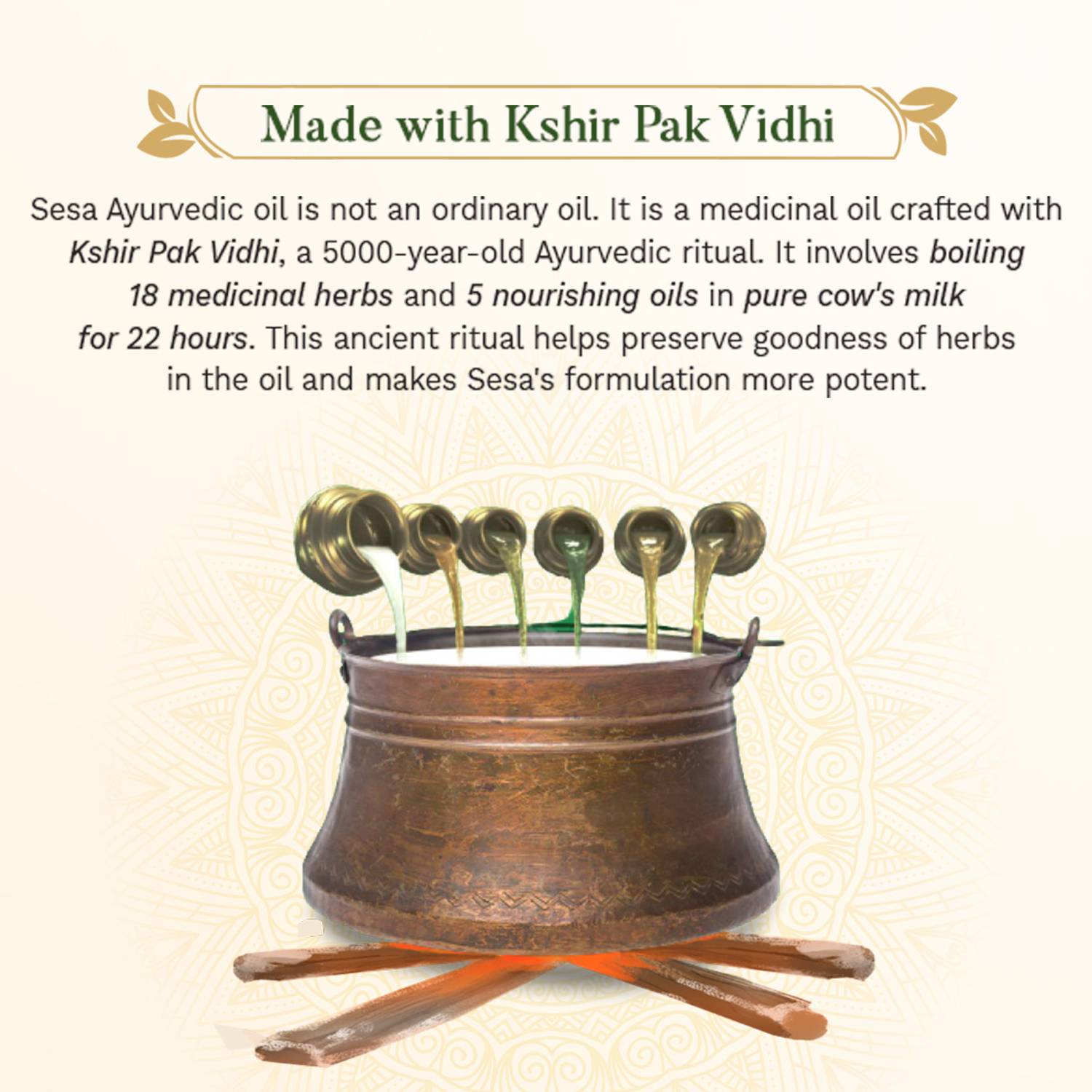 SESA Ayurvedic Hair Growth Oil Pack of 2 · 100 ml (200 ml total) - Image 4