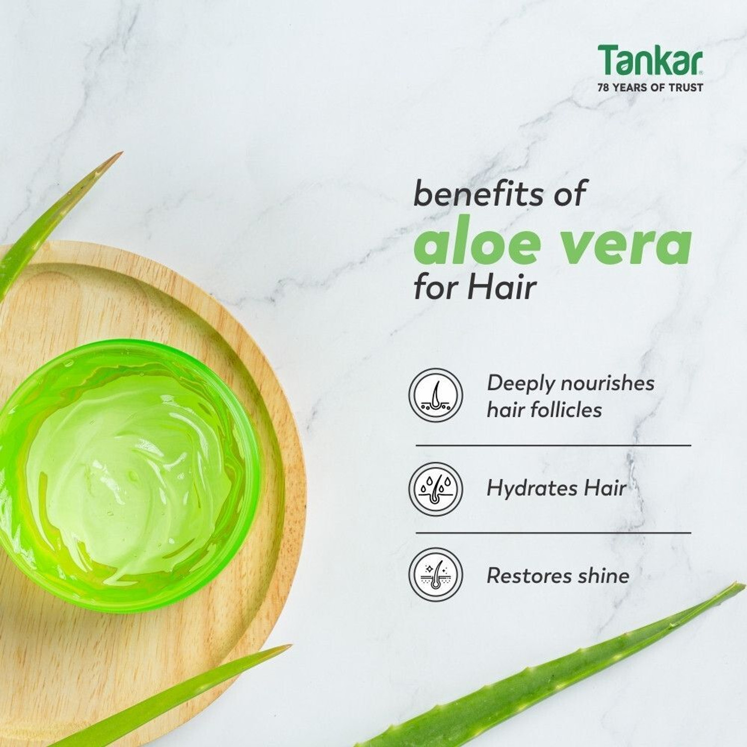 Image of Tankar Ghrit Kumari AloeVera Ayurvedic Oil for Hair Fall & Growth (Qty 2) Hair Oil