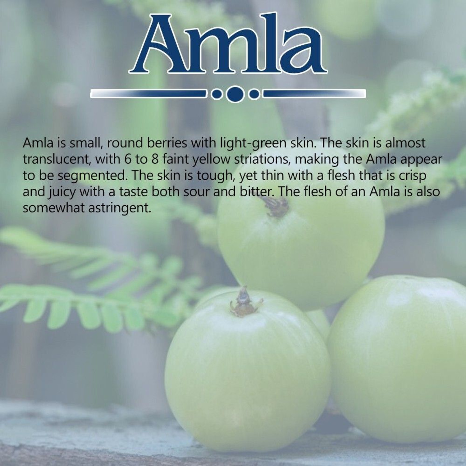 Image of SBS Herbal Amla Hair Oil (500ml) Pack of 1 Hair Oil