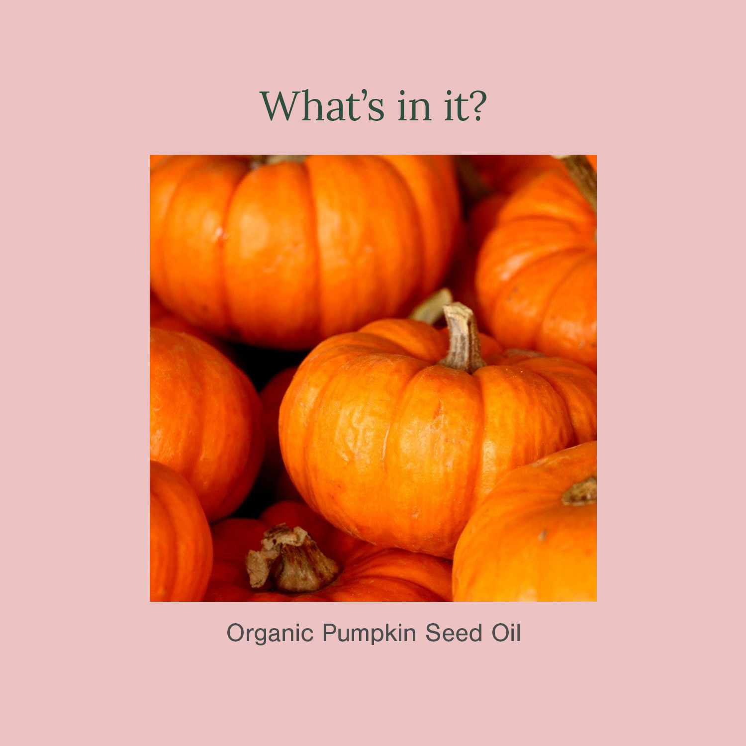 Image of Juicy Chemistry Organic Pumpkin Seed Oil | Cold-Pressed | 100% Pure|Nourishes Skin | Scalp & Hair Oil