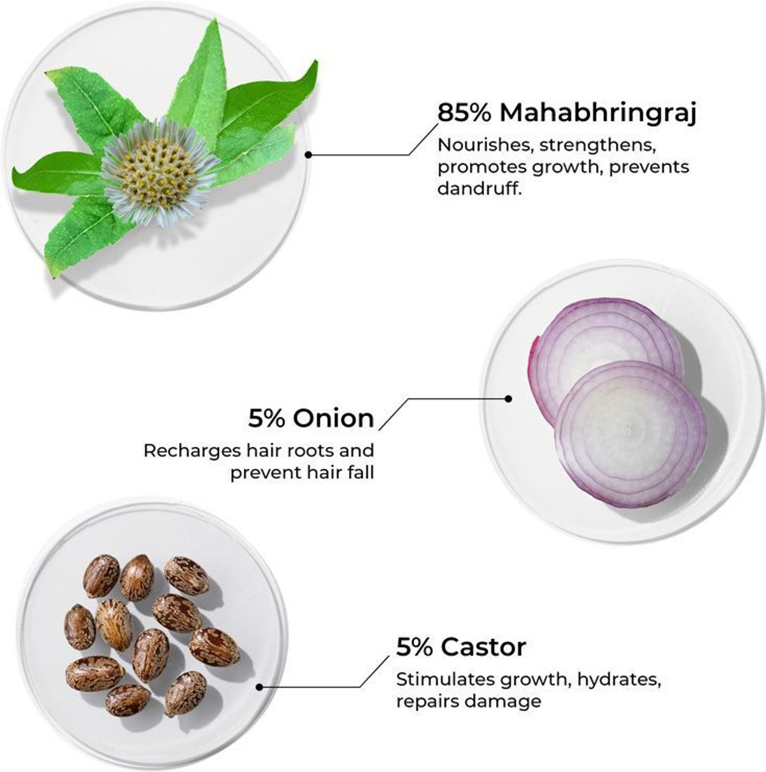 Image of BRILLARE Mahabhringraj Hair Oil