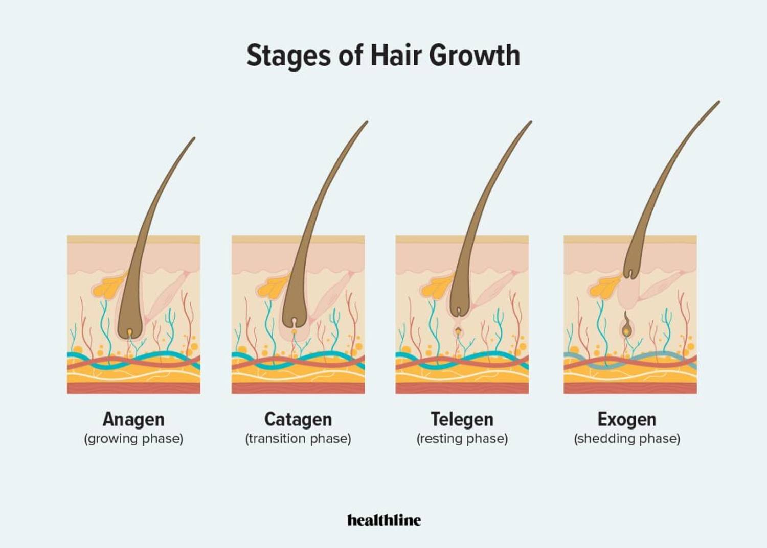 unisys Skin Fuel Hair Growth Oil with Redensyl - Image 3