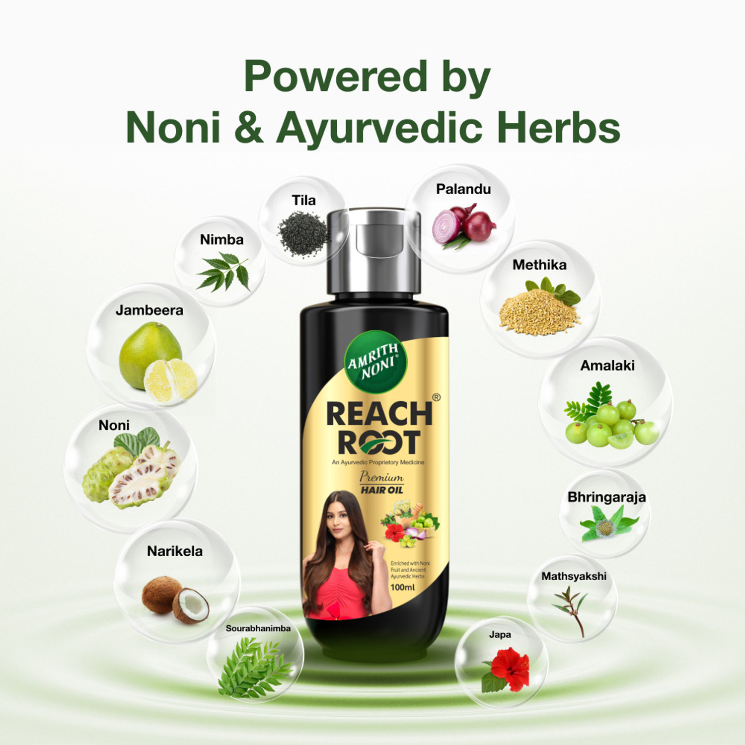Image of AMRITH NONI Reach Root Premium Hair Oil 100ML - (Pack of 3*100ml) Hair Oil