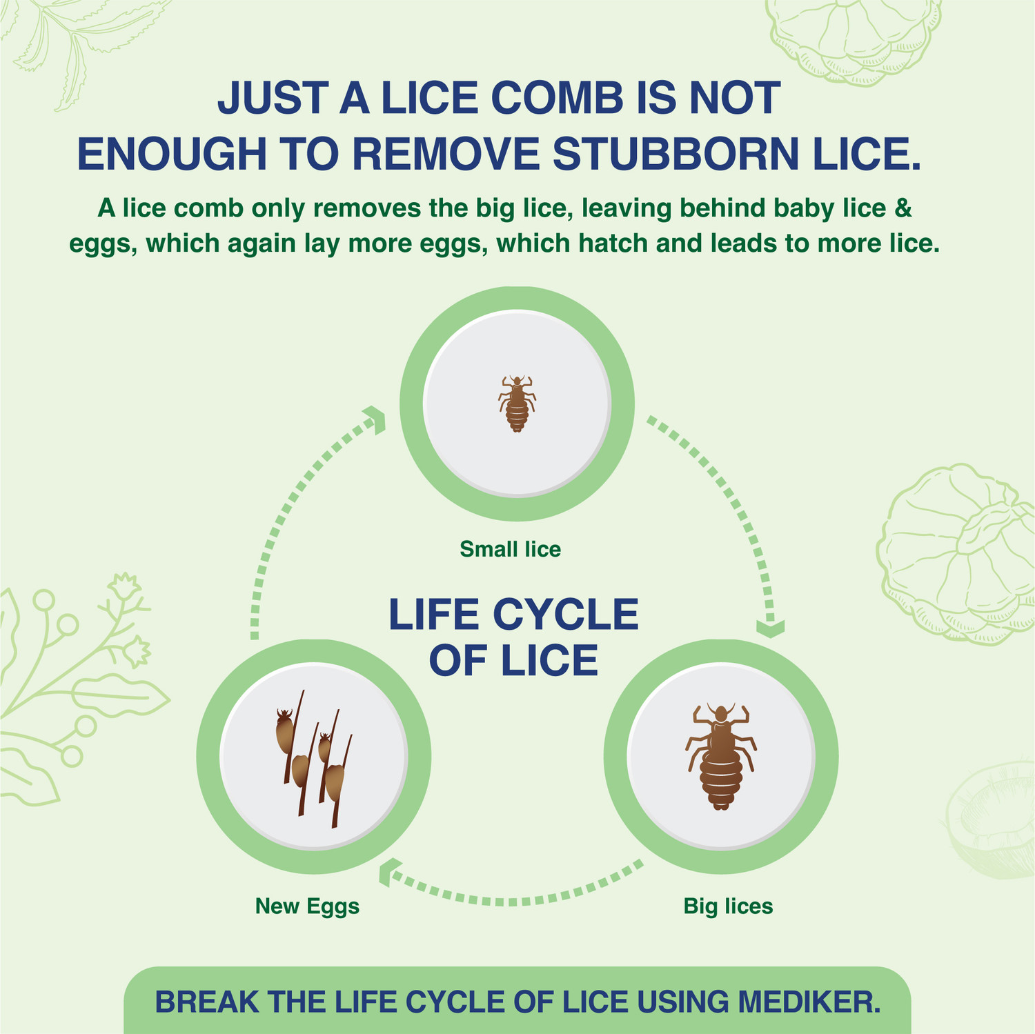 Image of MEDIKER Anti lice Treatment Shampoo + Comb, Effective painless way of Lice removal