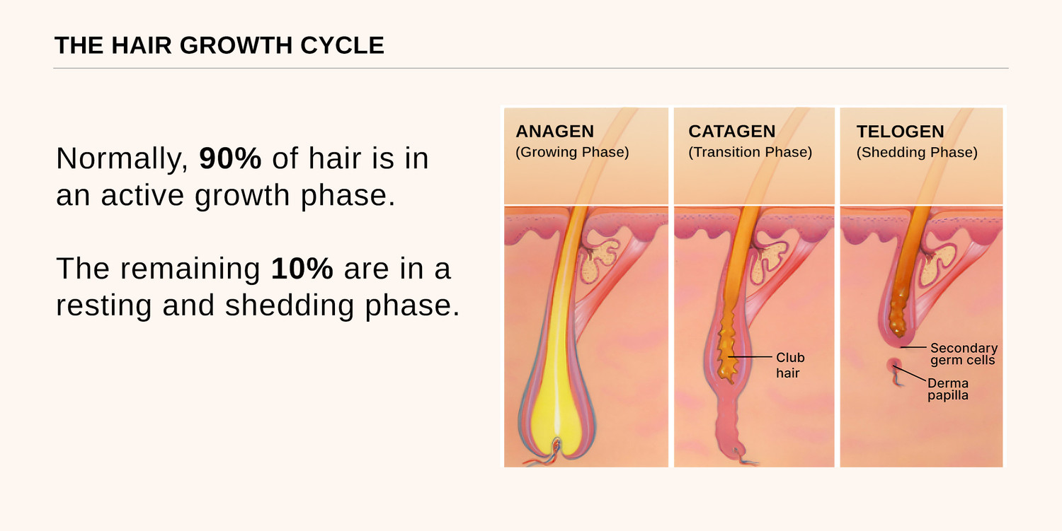 Image of BARE ANATOMY Advanced Hair Growth Serum - Redensyl, Rosemary, Anagain, Biotin | Women & Men