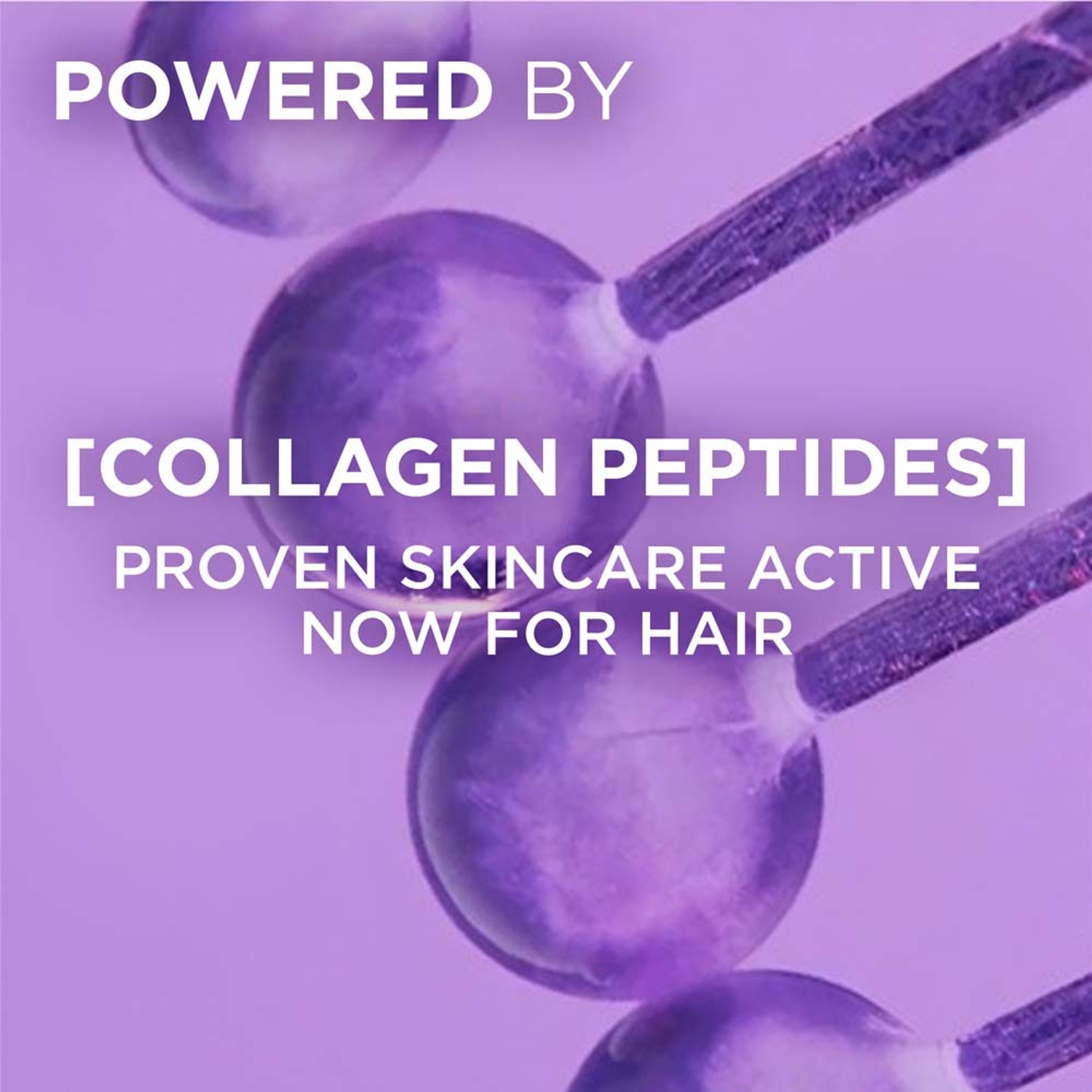Image of L'Oreal Paris Collagen Lifter Conditioner for 72H volume & soft hair