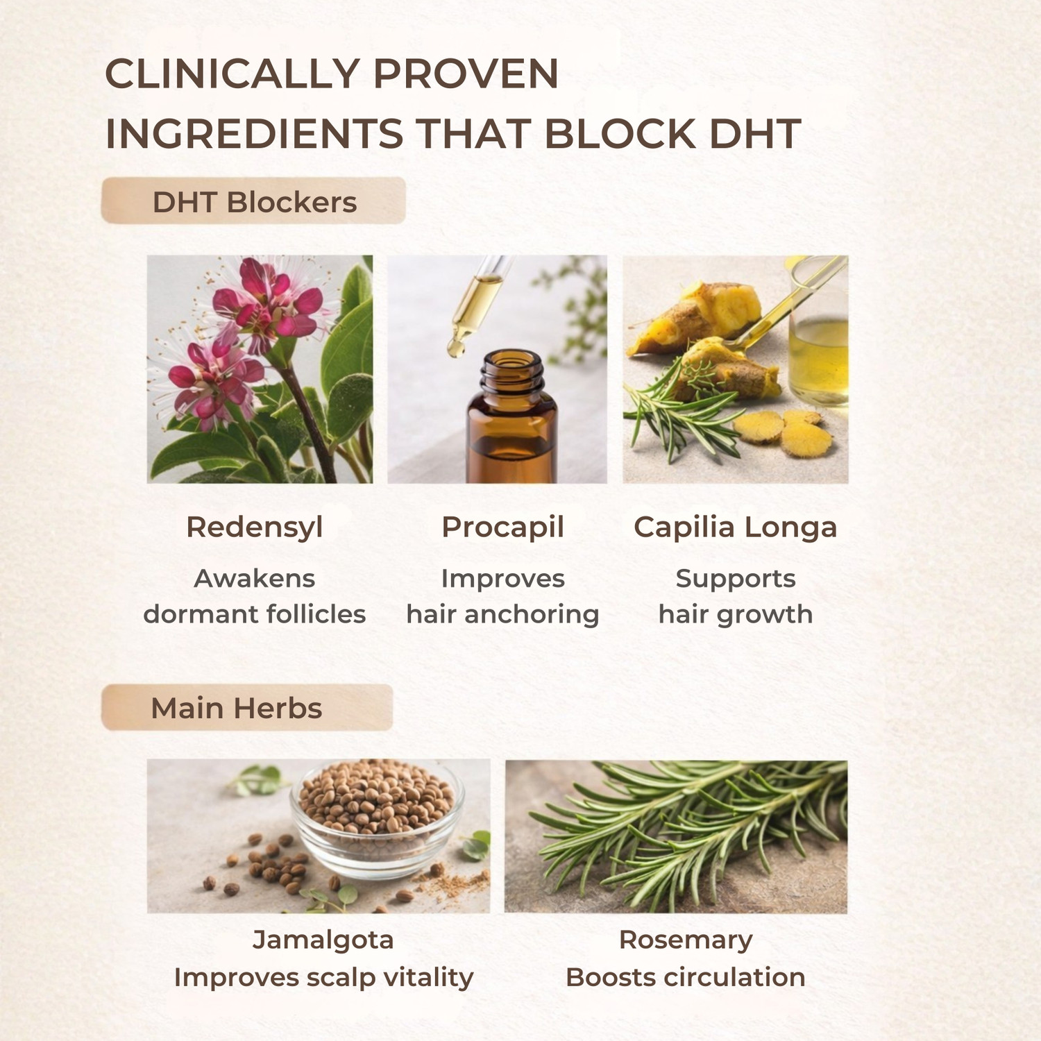 Image of SAYY Scalp Revival Hair Serum |Lightweight Non-Greasy | Daily Scalp Care