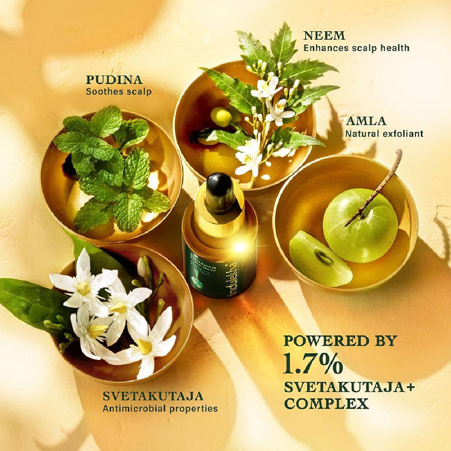 Indulekha Svetakutuja Dandruff Serum 30ml - Image 3