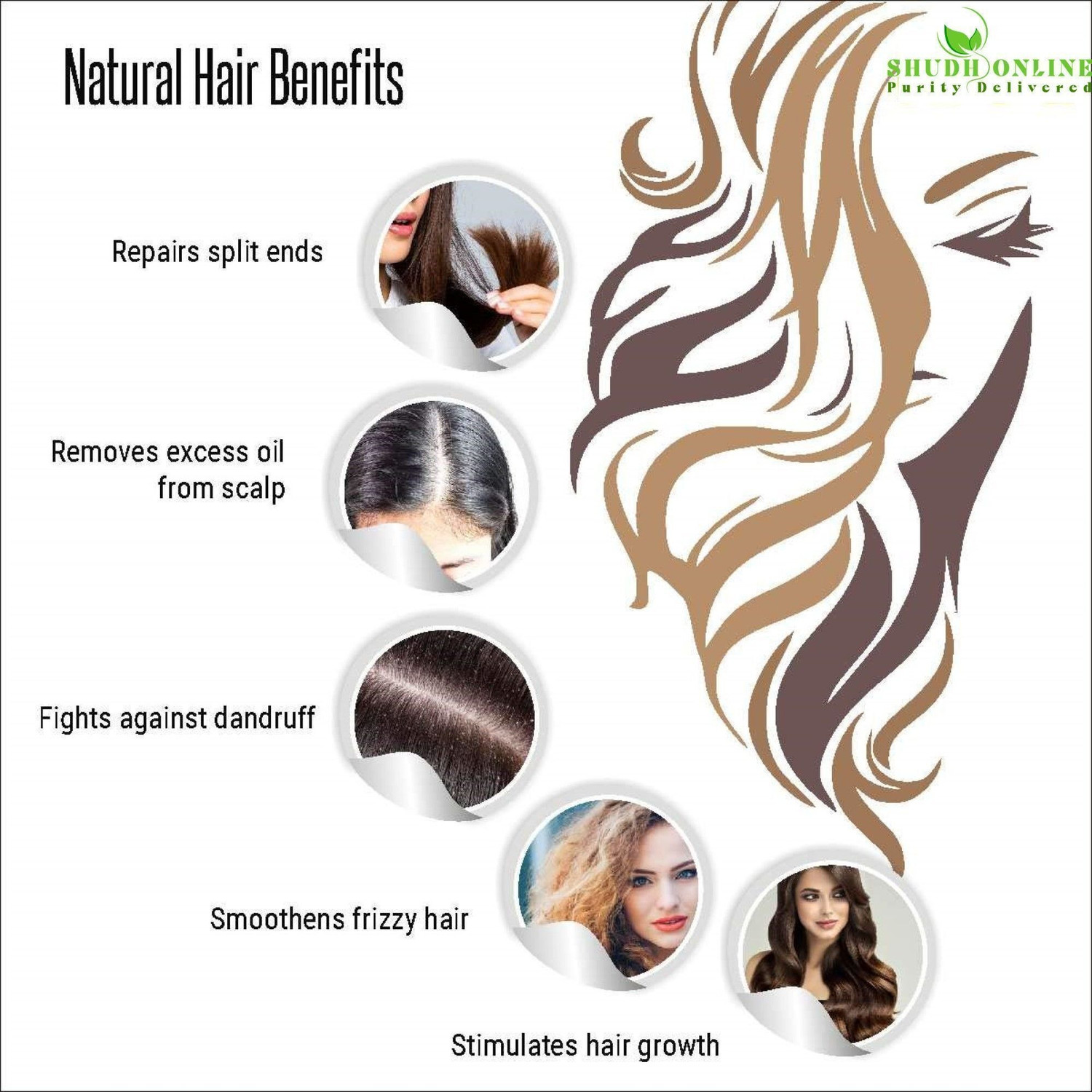 Image of Shudh Online Reetha Powder for Hair Growth Organic Seedless | Soapnut Powders | Kunkudukayalu