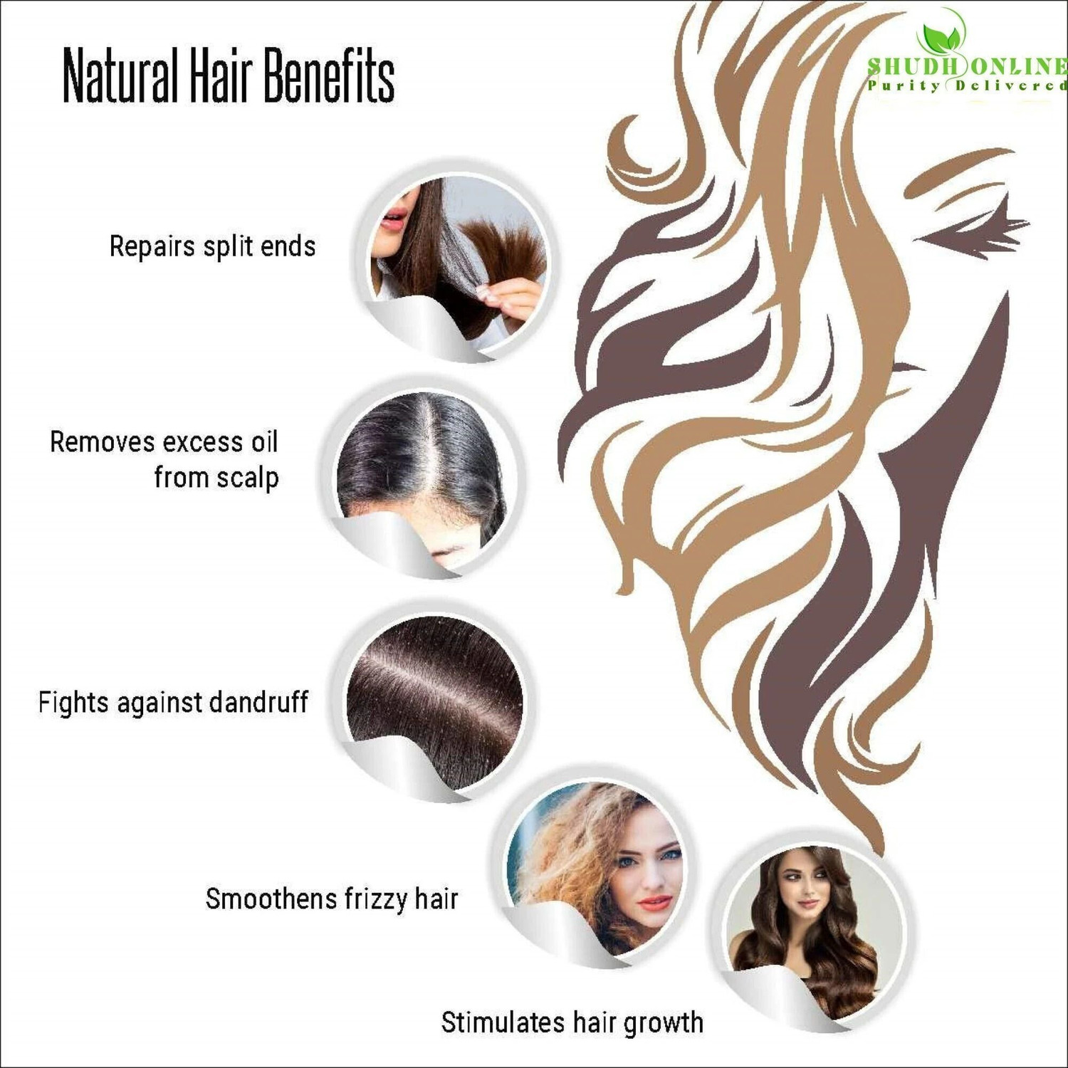 Image of Shudh Online Reetha Powder for Hair Growth Organic Seedless Soapnut Powders Kunkudukayalu