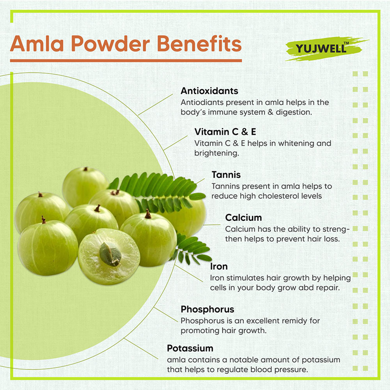 Image of YUJWELL Organic Amla Powder | Hair, Skin & Immunity Care (400 g)