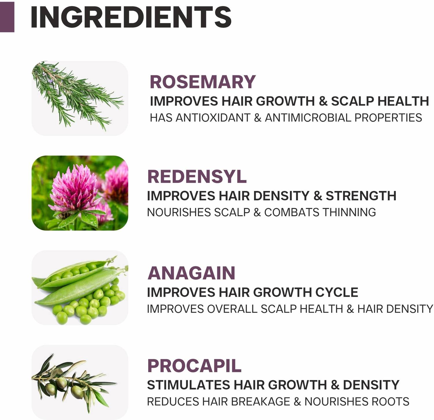 Dermatouch Actives 2% Rosemary Spray for Hair Growth 200ml - Image 2