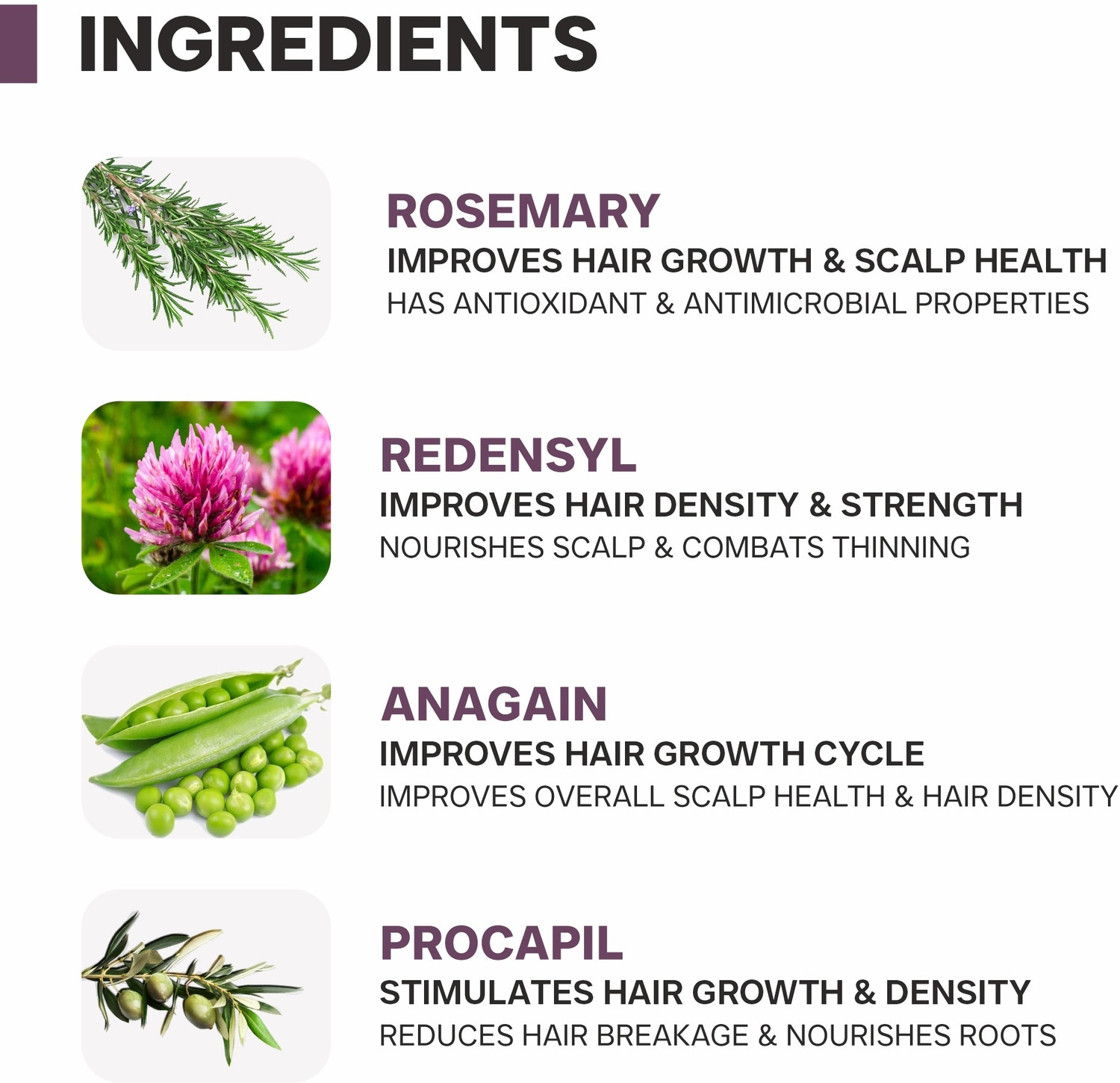 Image of Dermatouch ACTIVES 2% ROSEMARY WATER HAIR SPRAY