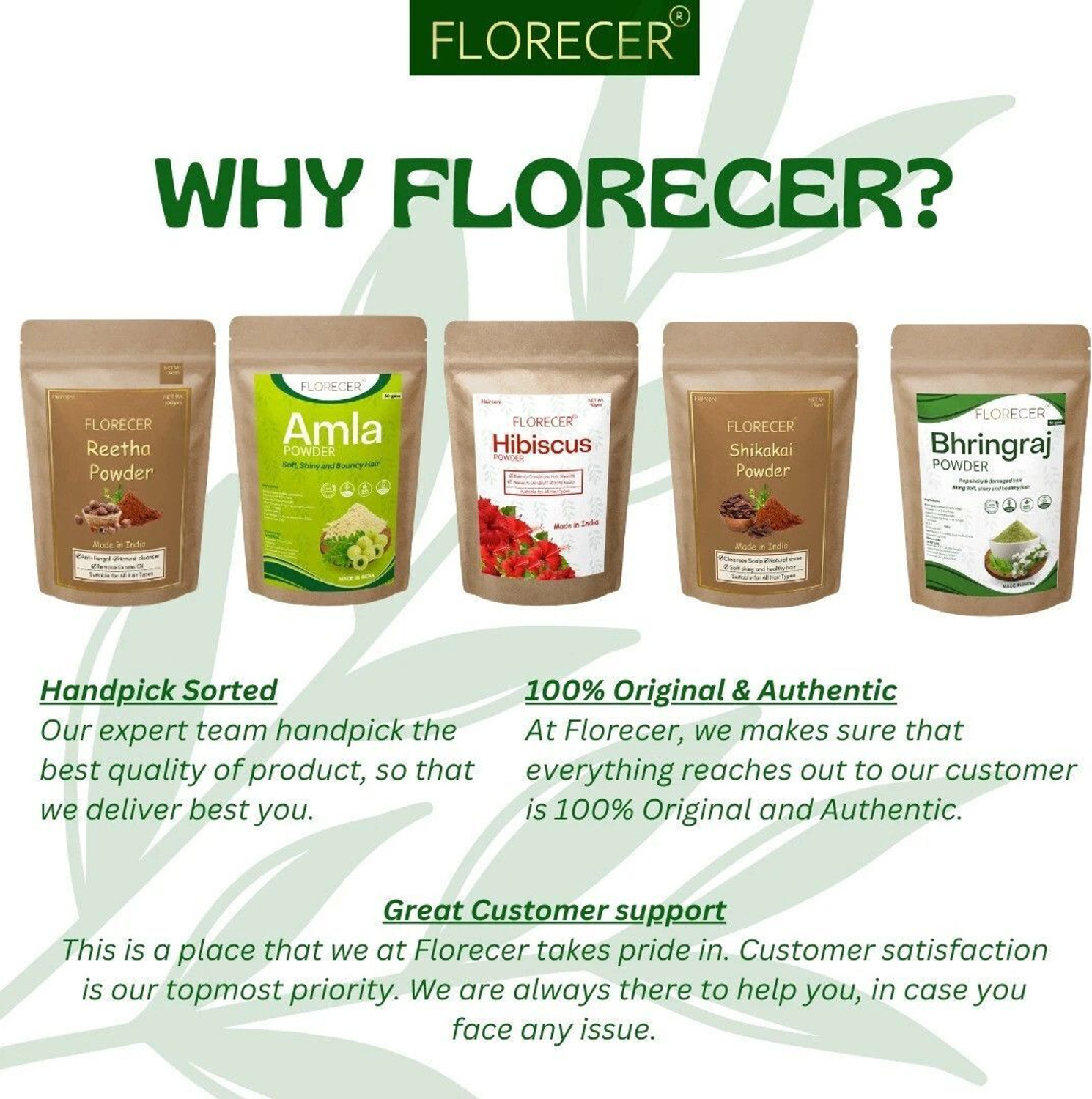 Image of FLORECER Amla,Reetha,Shikakai,Bhringraj and Hibiscus Powder for Hair (Each 50 Gram)