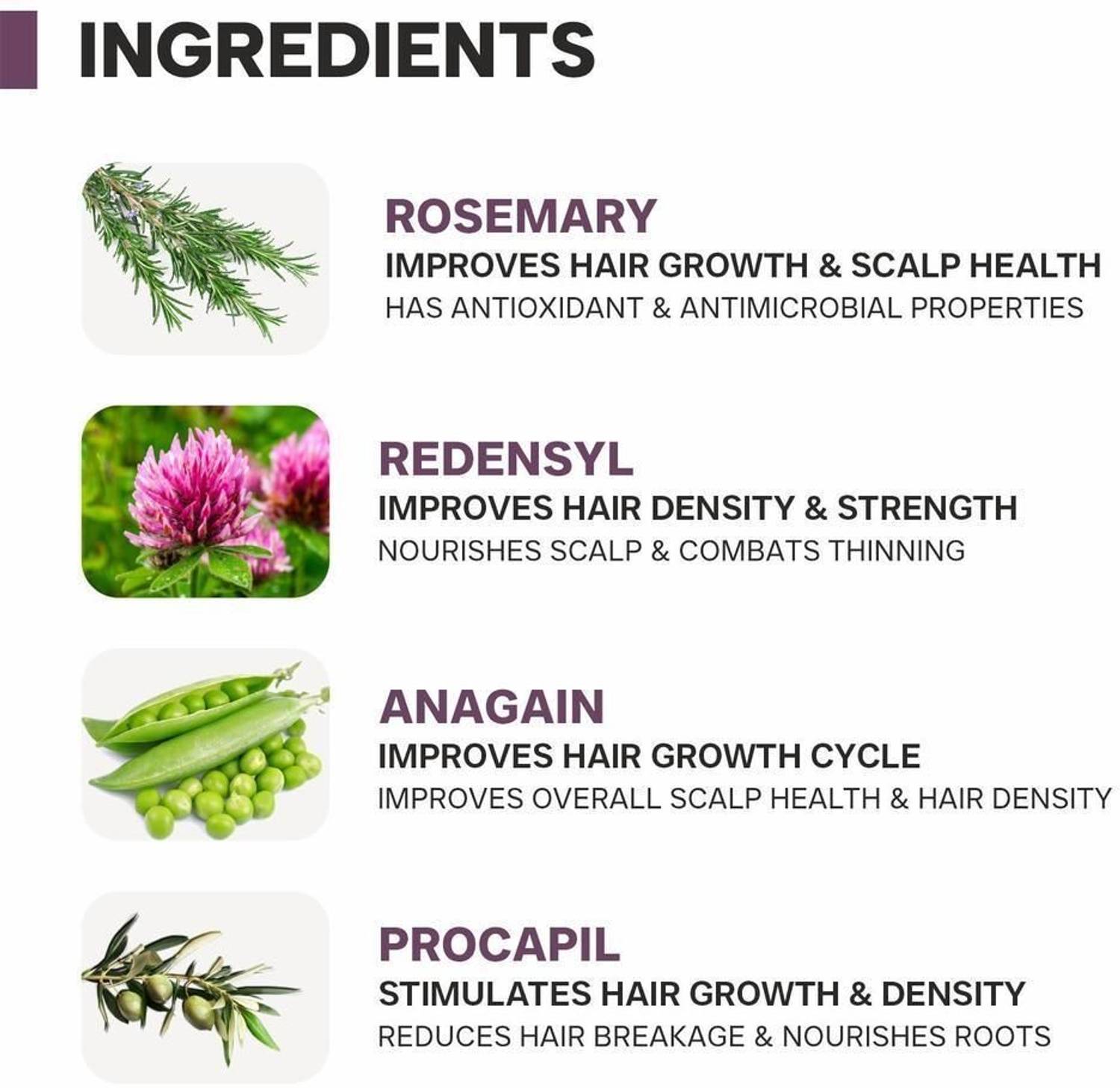 Dermatouch Actives 2% Rosemary Spray for Hair Growth, 100ml - Image 2