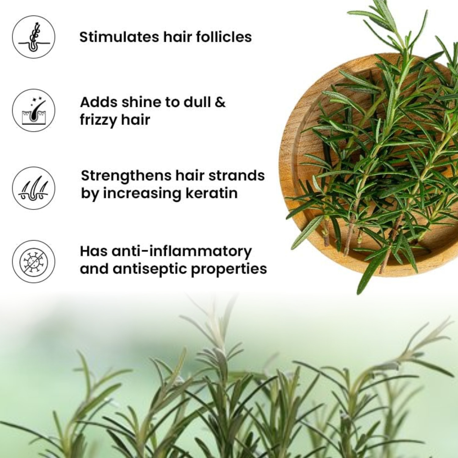 Image of FORTUNATE Rosemary Hair Essentials Oil 30ml - Rosemary Water Hair Spray 100ml - Combo Pack