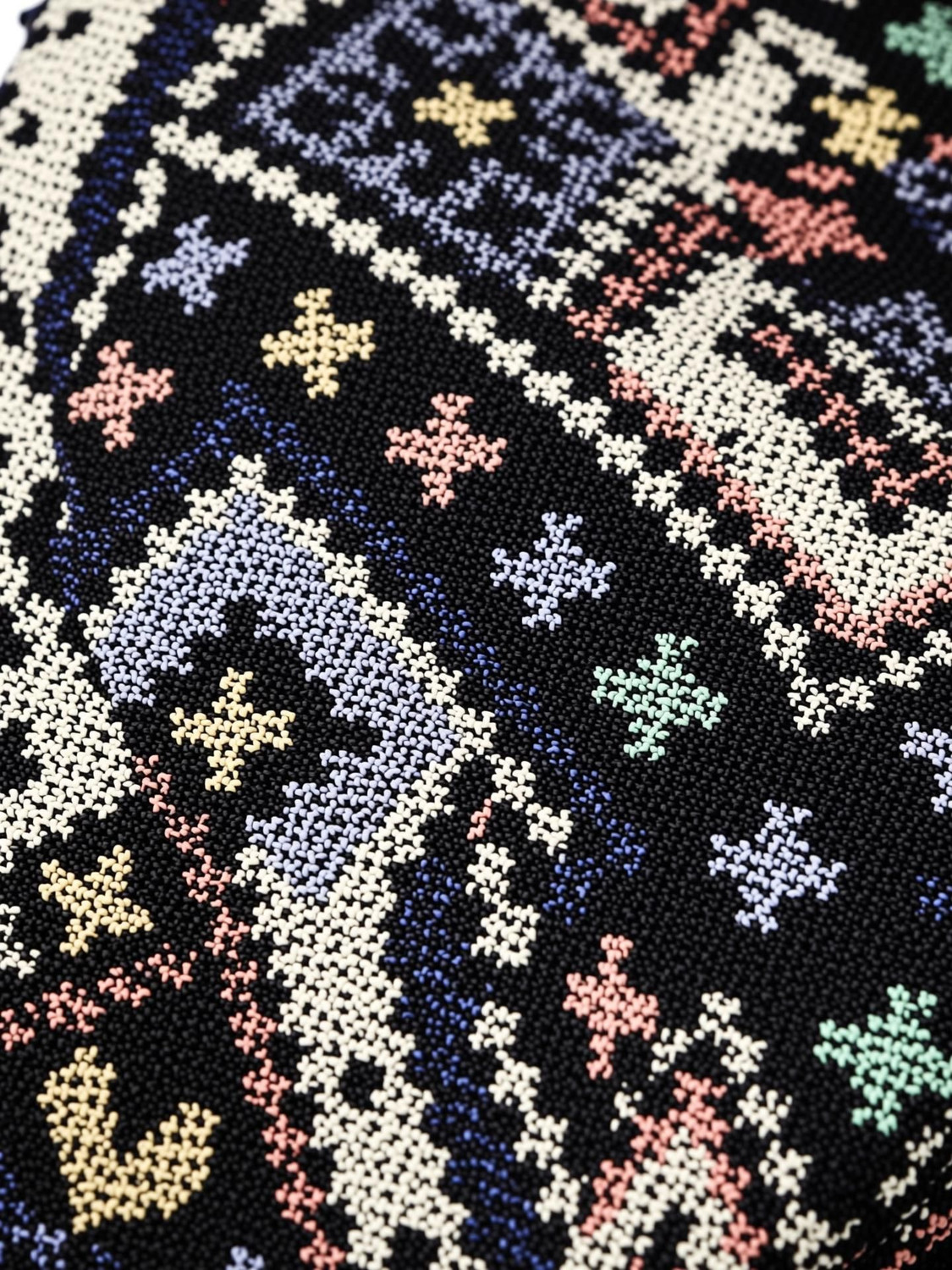Image of PCL Women Multicolor Tote