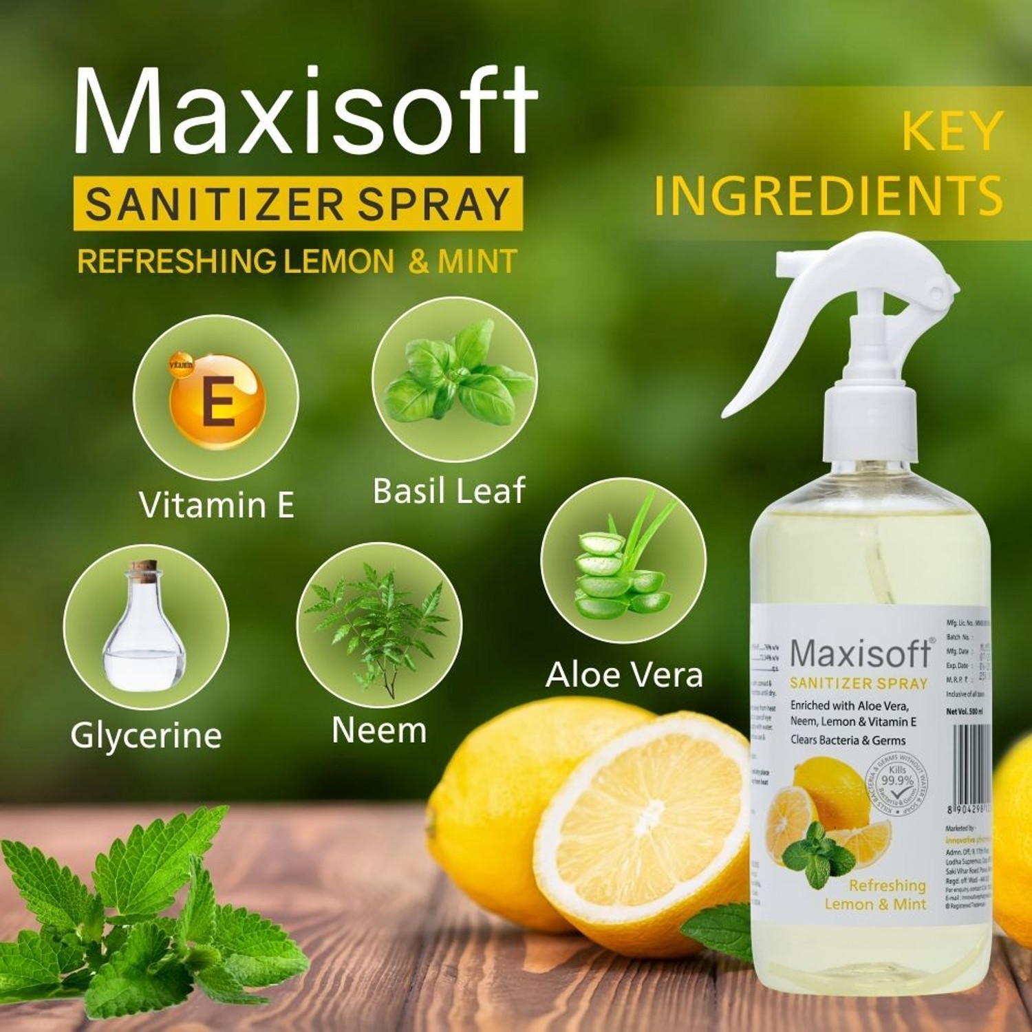 Image of Maxisoft Spray Lemon & Mint | Instant Germ Kill & Daily Hygiene Protection Hand Sanitizer Bottle