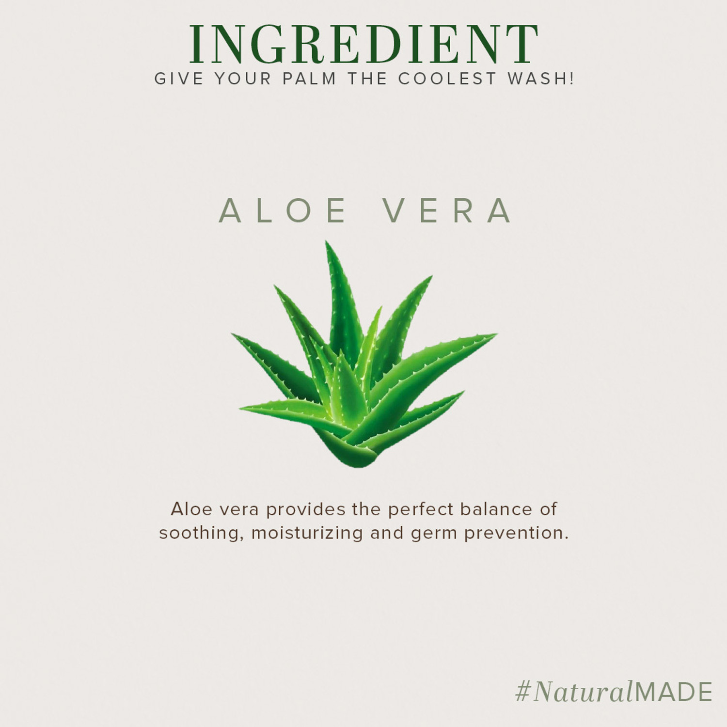 Image of KHADI NATURAL Everyday Protection AloeVera Hand Wash Bottle + Dispenser