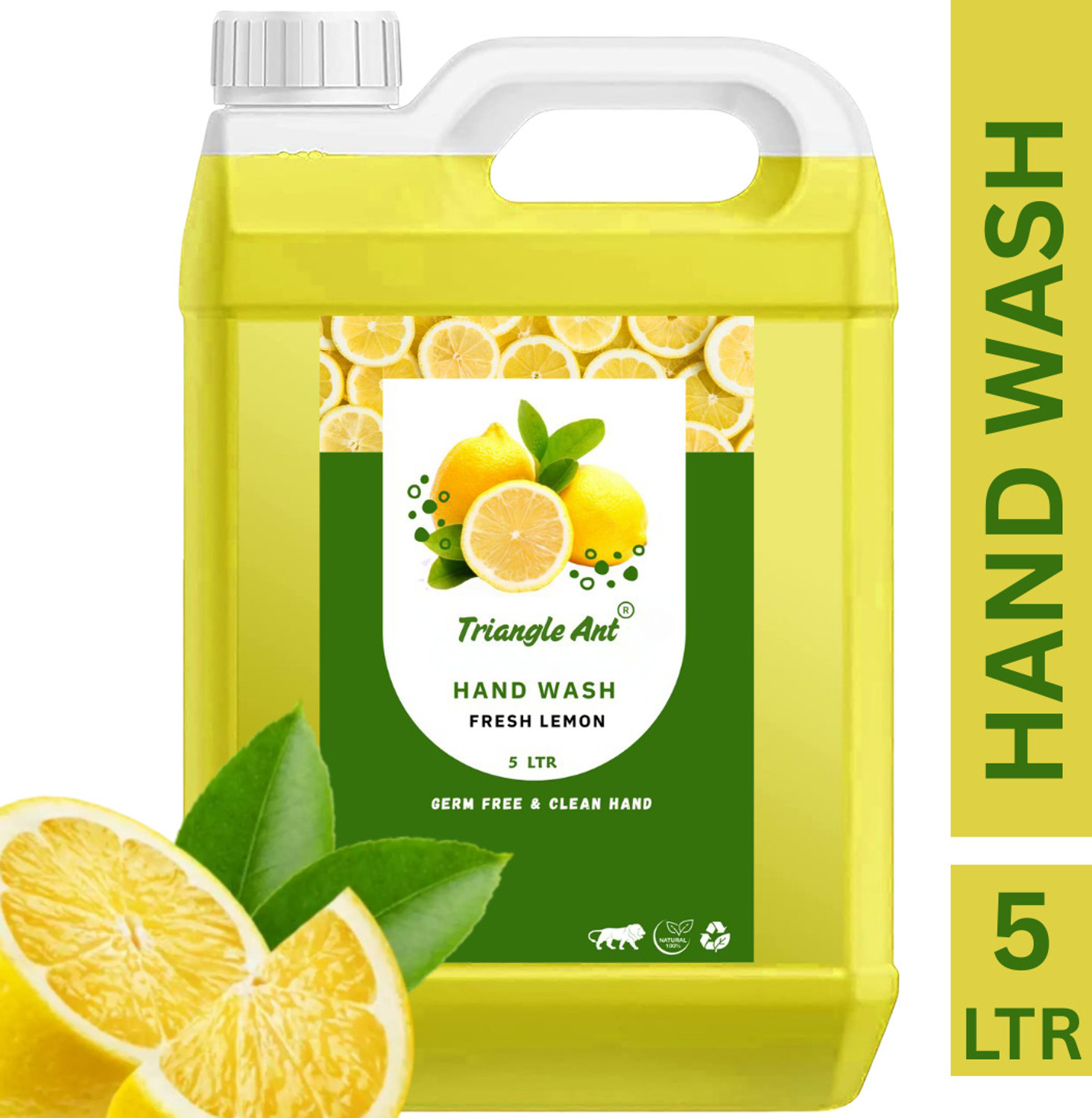 Image of Triangle Ant Refreshing Lemon, Touch of Lotion Foaming Hand Wash Hand Wash Can