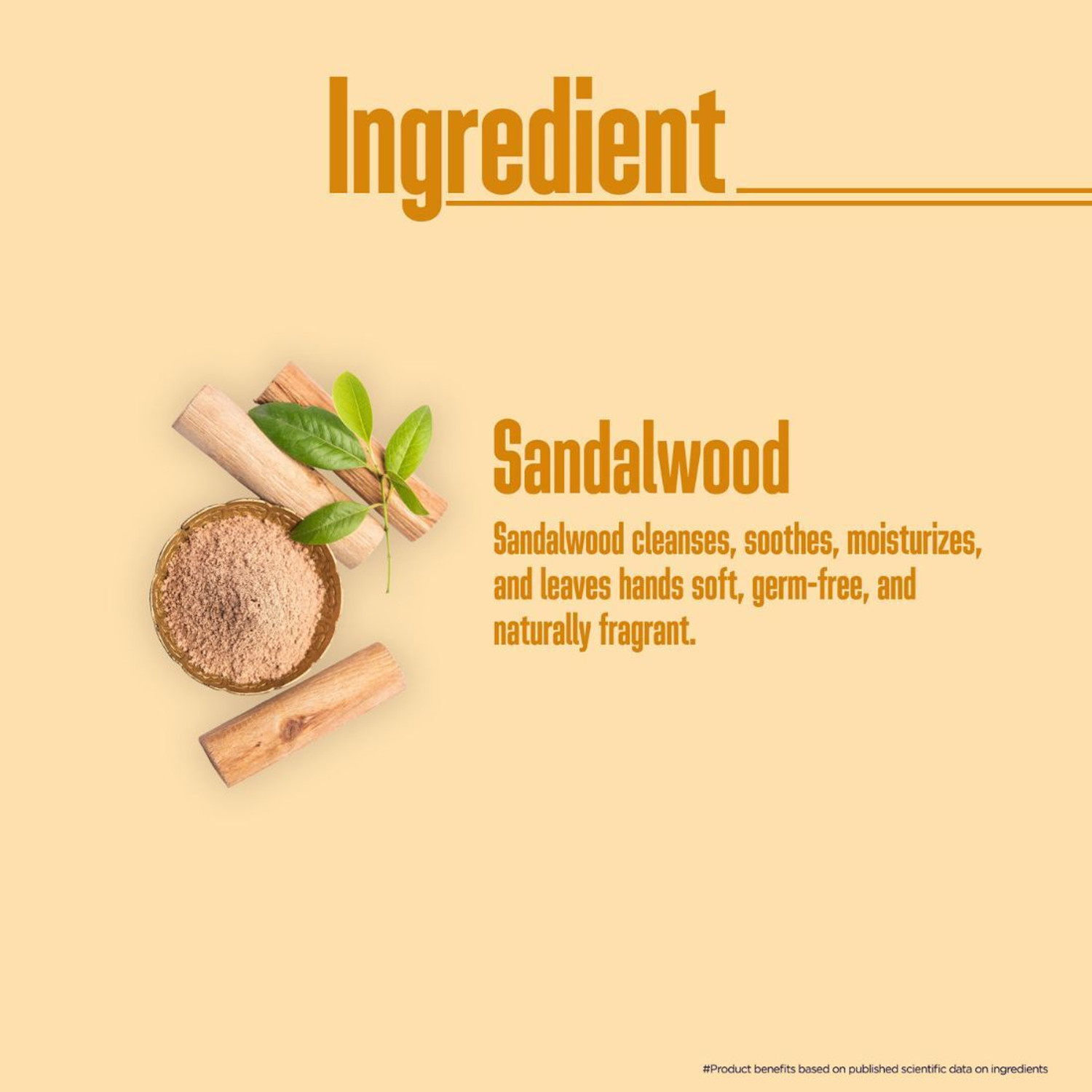 Image of Multani Naturals Sandalwood Hand Wash | 99.9% Germs Protection |Dermatologically Testd - Hand Wash Pump Dispenser