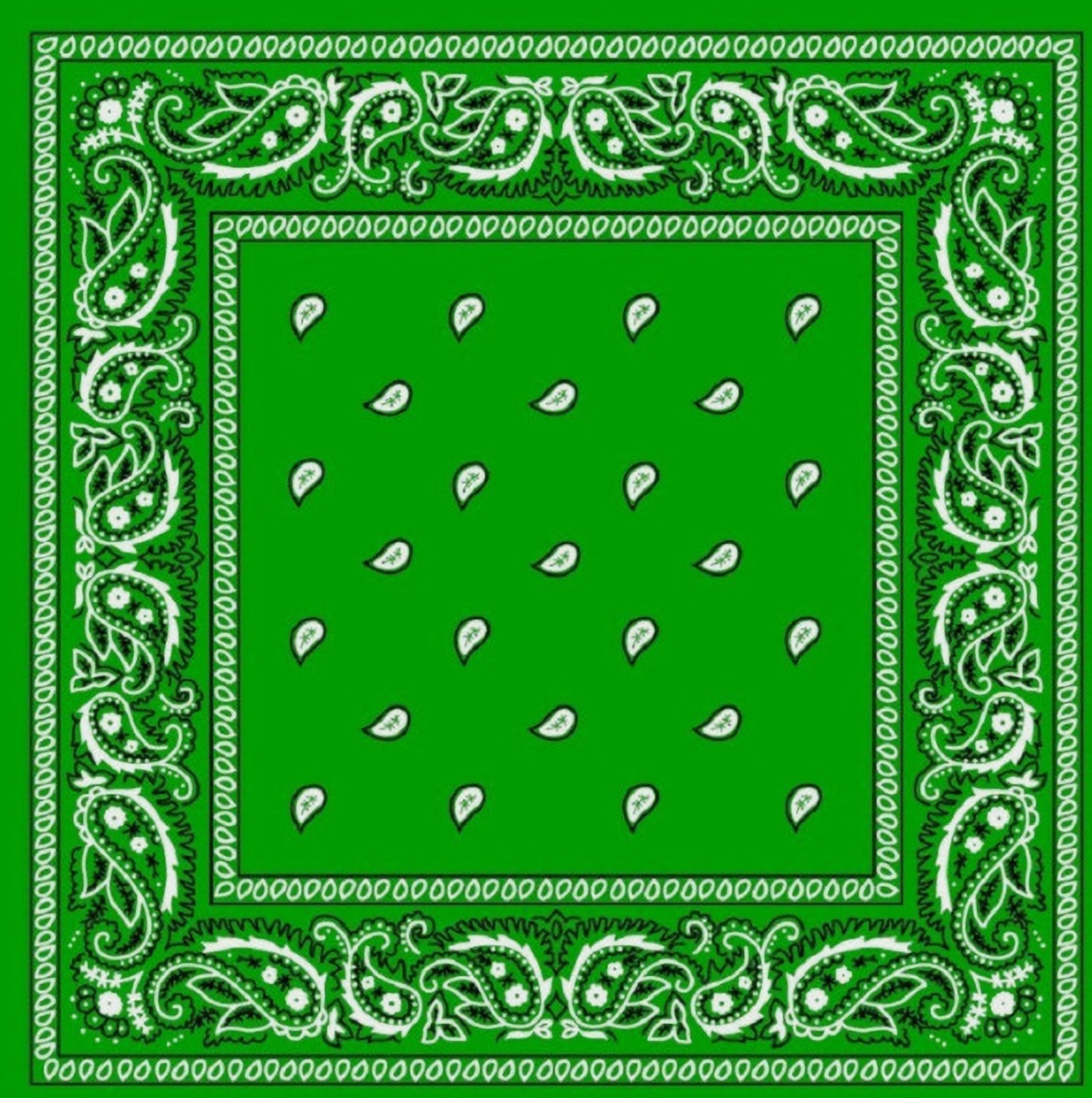 Image of Good Shopkeeper Paisley 20 inches x 20 inches cotton [ inchBlack inch, inchRed inch, inchWhite inch, inchDark Blue inch] Handkerchief