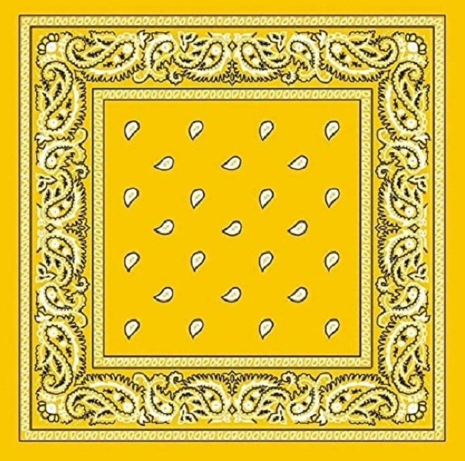 Image of Good Shopkeeper Paisley 20 inches x 20 inches cotton [ inchBlack inch, inchRed inch, inchWhite inch, inchDark Blue inch] Handkerchief