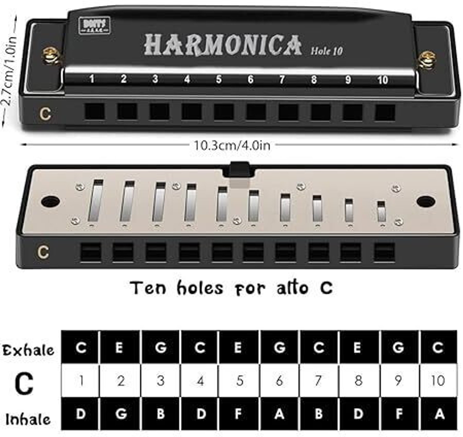 Image of wynyc Harmonica Mouth Organ Musical Instrument