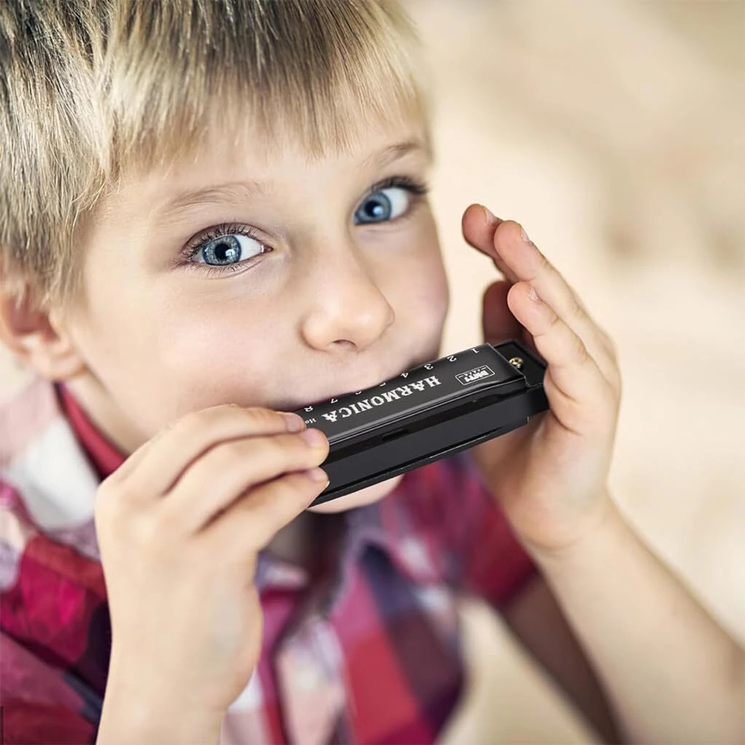 Image of wynyc Harmonica Mouth Organ Musical Instrument