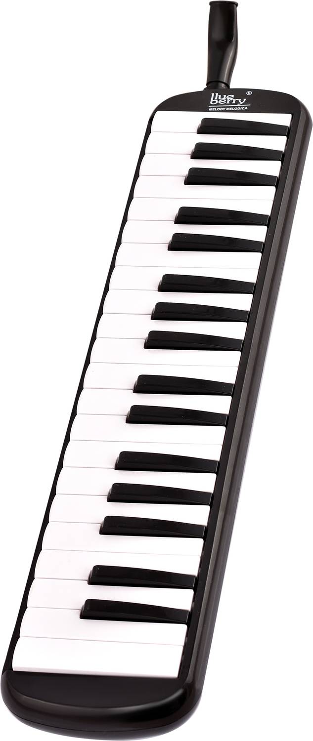 BLUEBERRY BM37K 37 Keys Soprano Melodica - Image 4