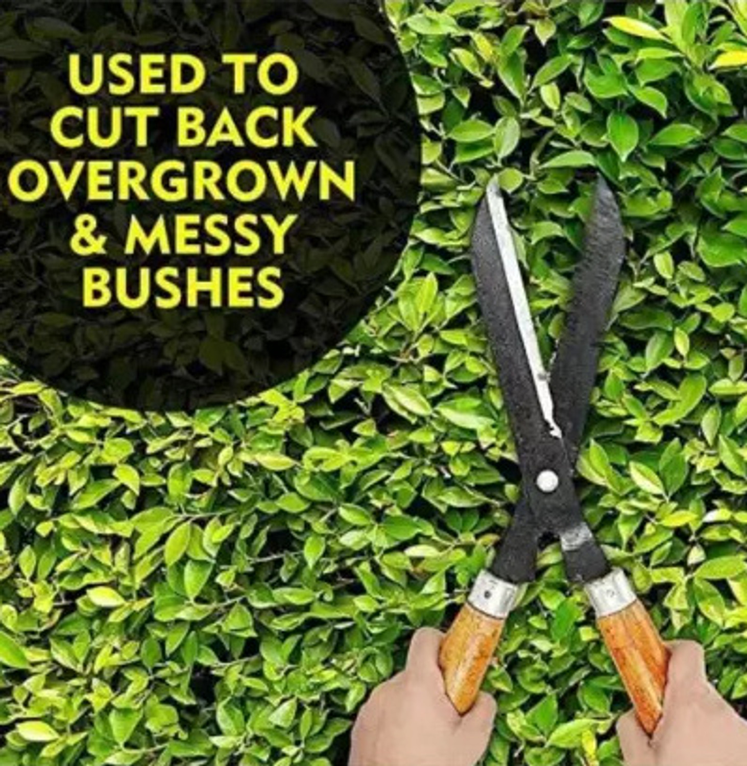 Image of AGT Pruning Scissors Hedge Shears with Long Wooden Handle for Garden Pruning Scissors Hedge Shears with Long Wooden Handle for Garden Hedge Shear
