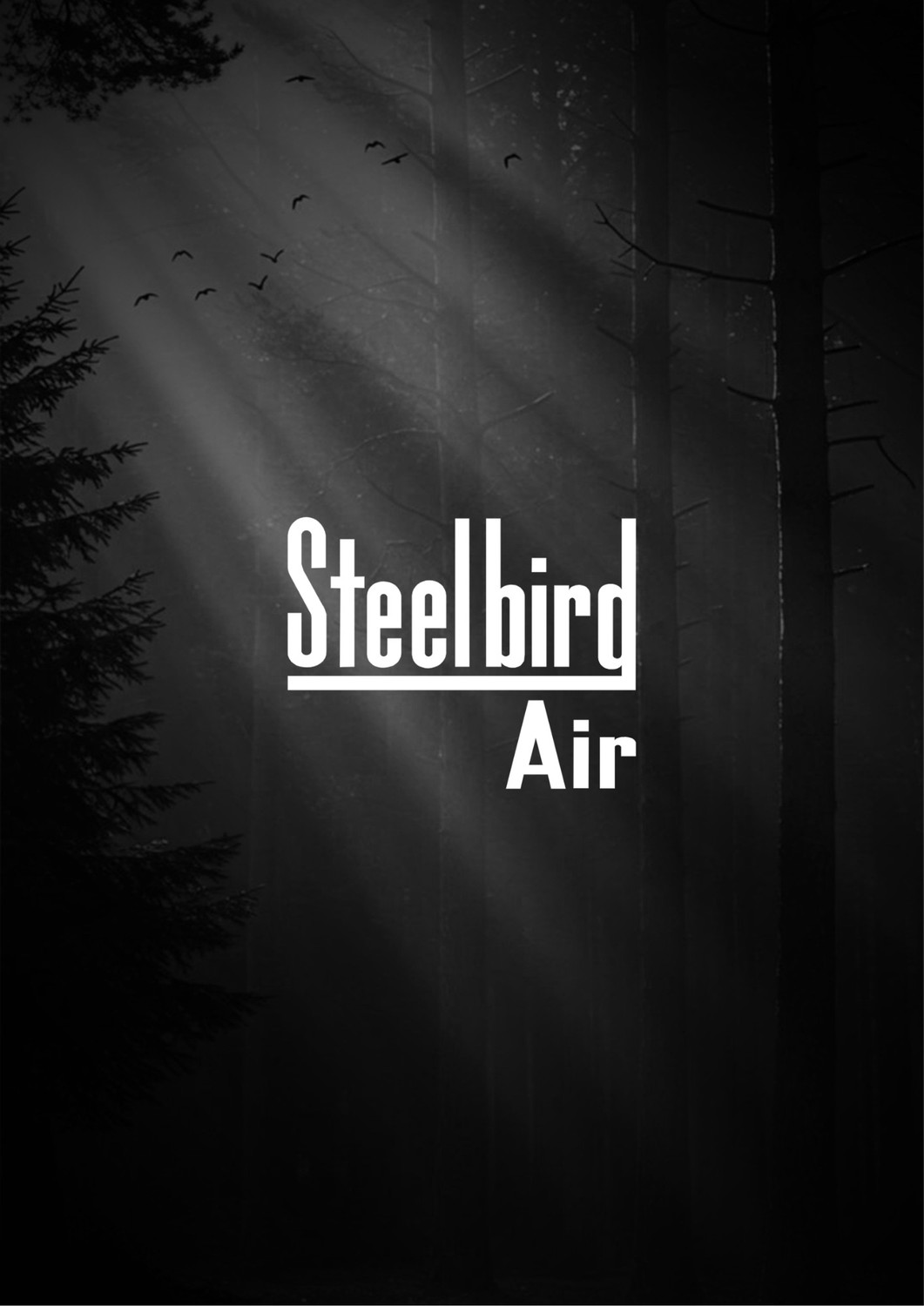 Image of Steelbird Air sba-11 Motorsports Helmet
