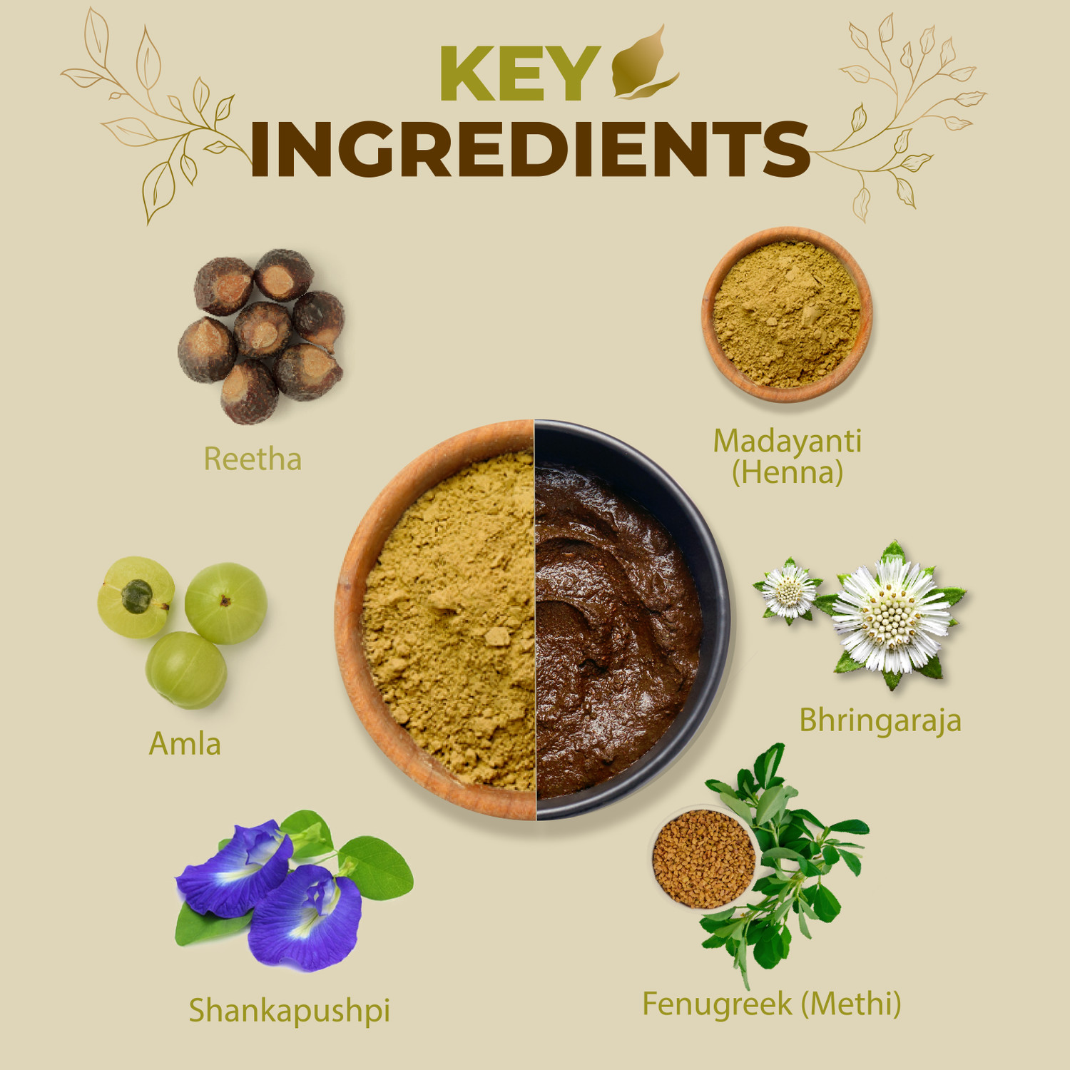 Image of OZONE Henna Conditioner (Mehndi) with Goodness of Ayurvedic Herbs 100gm | Pack of 3