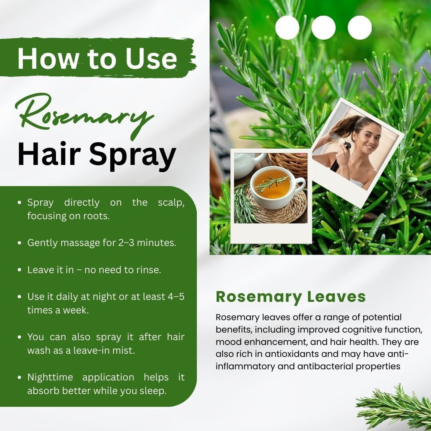 Image of BrijBooti Rosemary Leaves | Dried Rosemary Leaf for Hair | Ideal for Rosemary water & oil