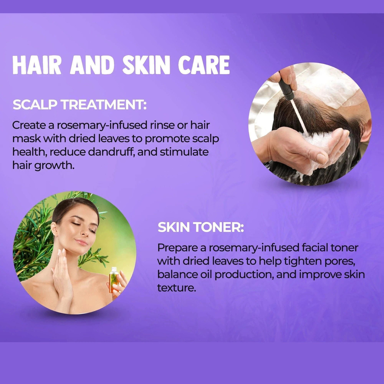 Image of NeutriOne Rosemary Dried Leaves for Hair Growth|With 100ml Spray Bottle |100ml Comb Bottle