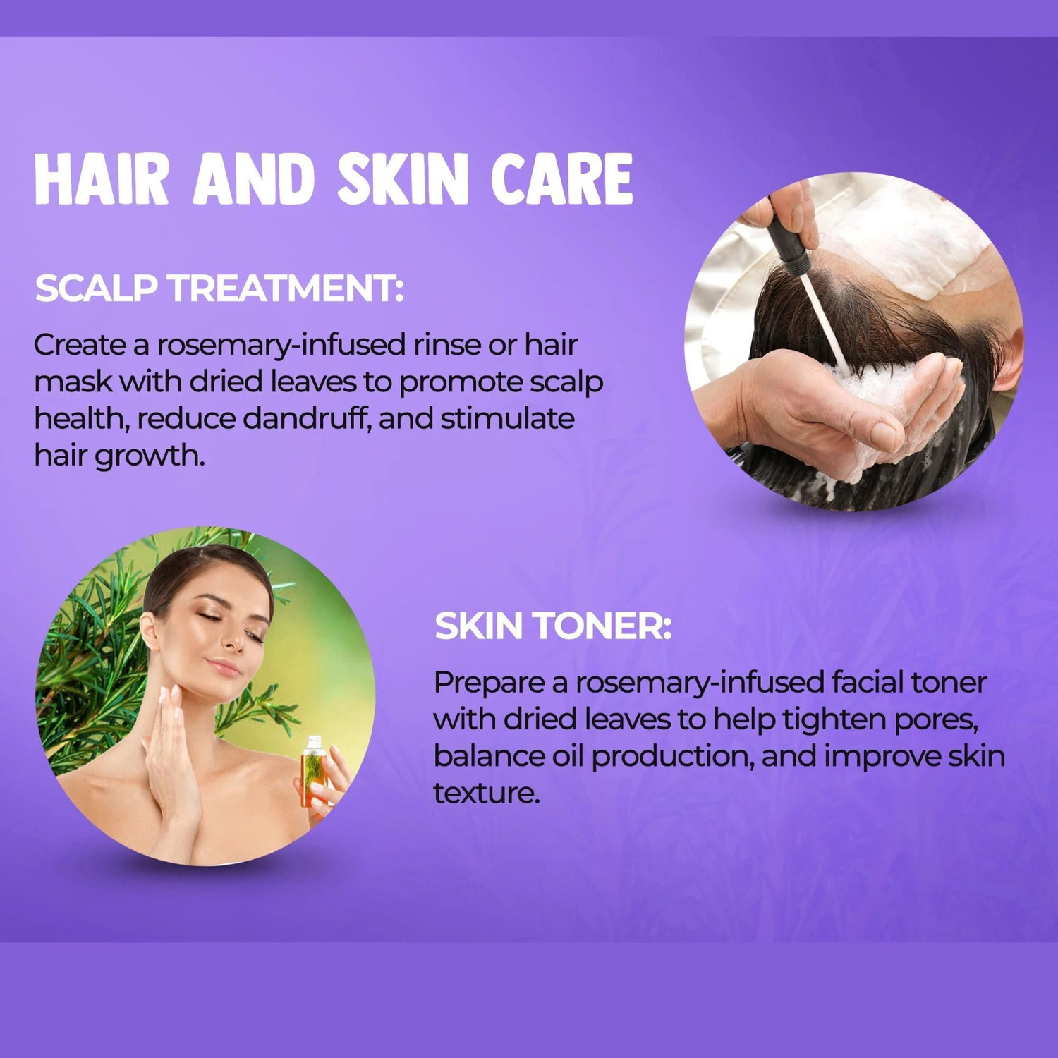 Image of NeutriOne Rosemary Leaves Dried for Hair Growth |Skin Glow | Aromatic Herb for food