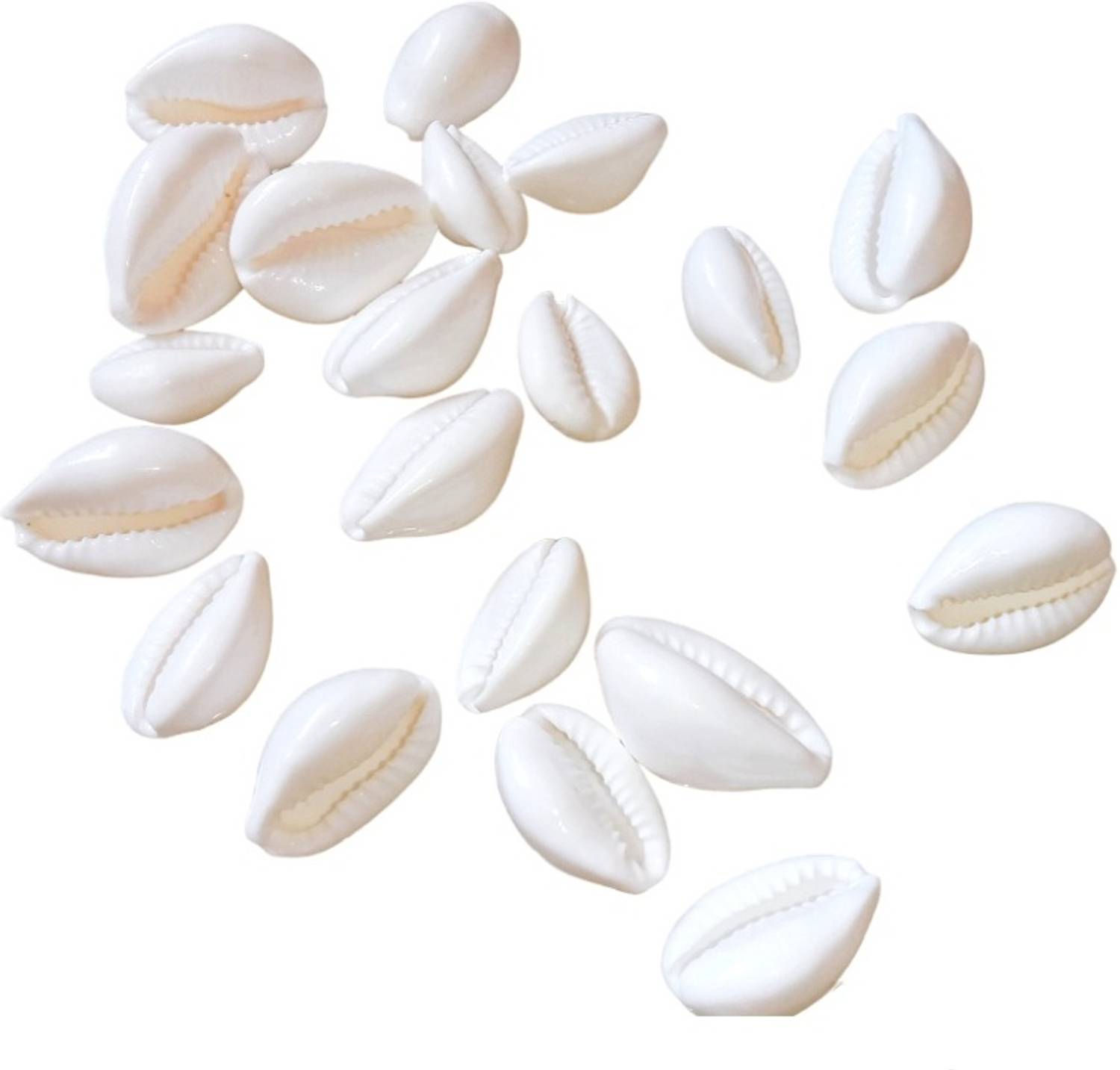 aradhya fashion Natural White Kauri for Laxmi Pooja Set 21 pieces Stoneware Yantra Stone Home Temple