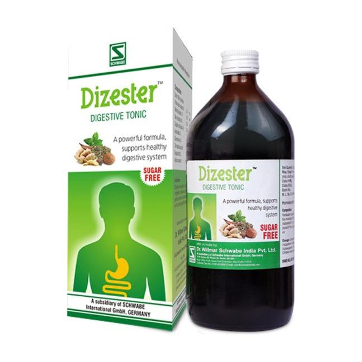 Image of Dr.Willmar Schwabe India Dizester Syrup