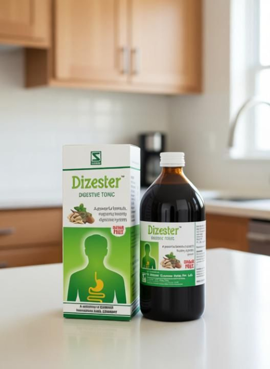 Image of Dr.Willmar Schwabe India Dizester Syrup